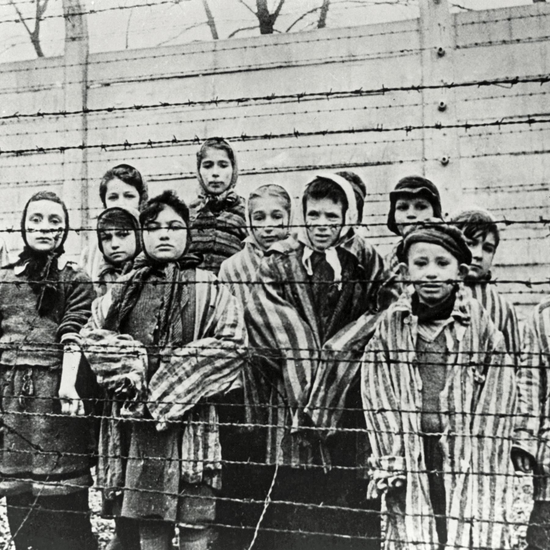 Als Kind in Auschwitz - Die letzten Überlebenden erinnern sich