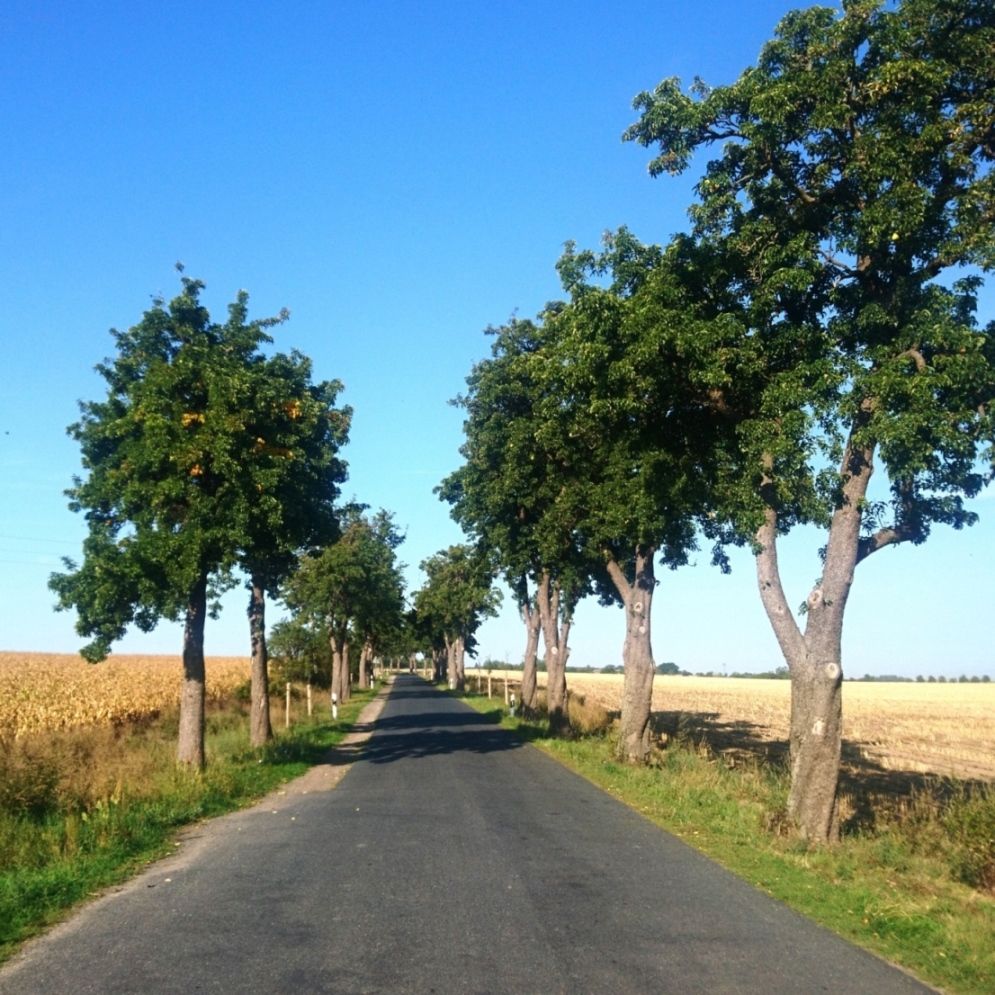 Alte Obstsorten und Obstanbau in der Altmark