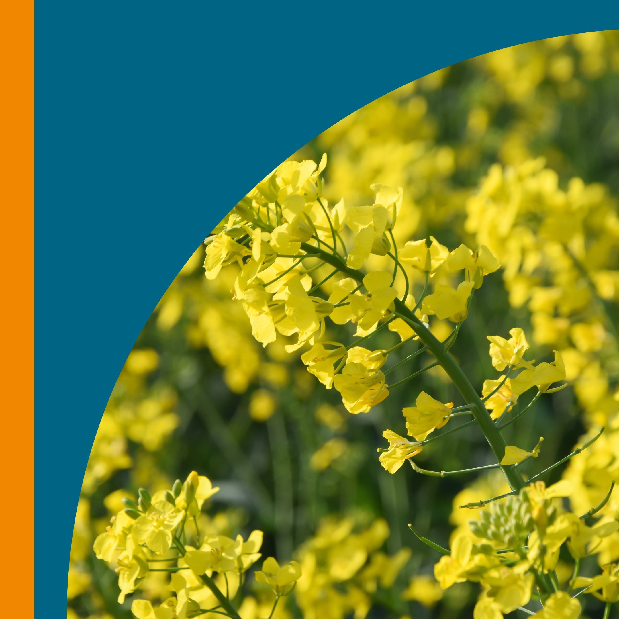 Alternative Kraftstoffe in der Landtechnik