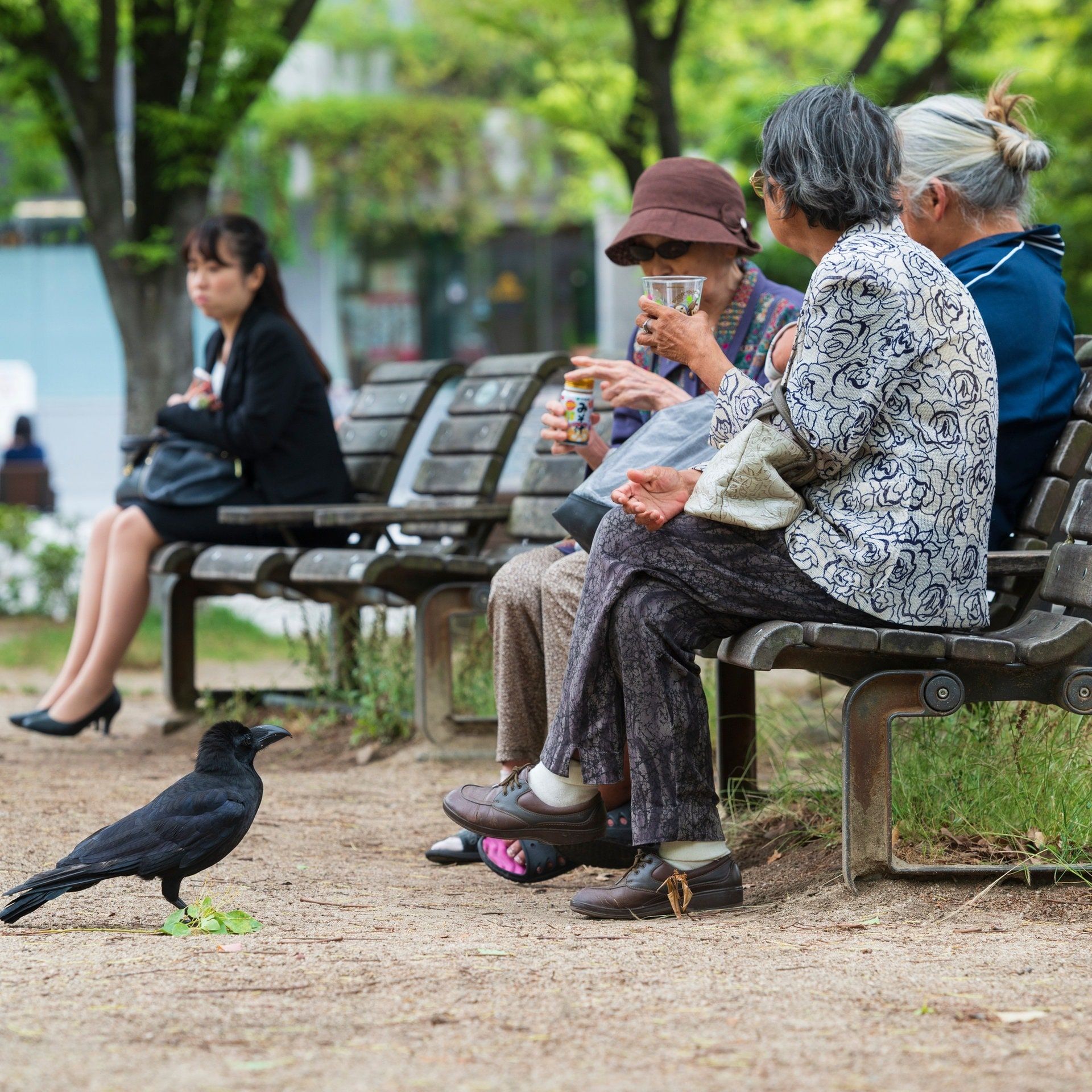 Alterndes Japan – Szenen aus einem Land im Umbruch