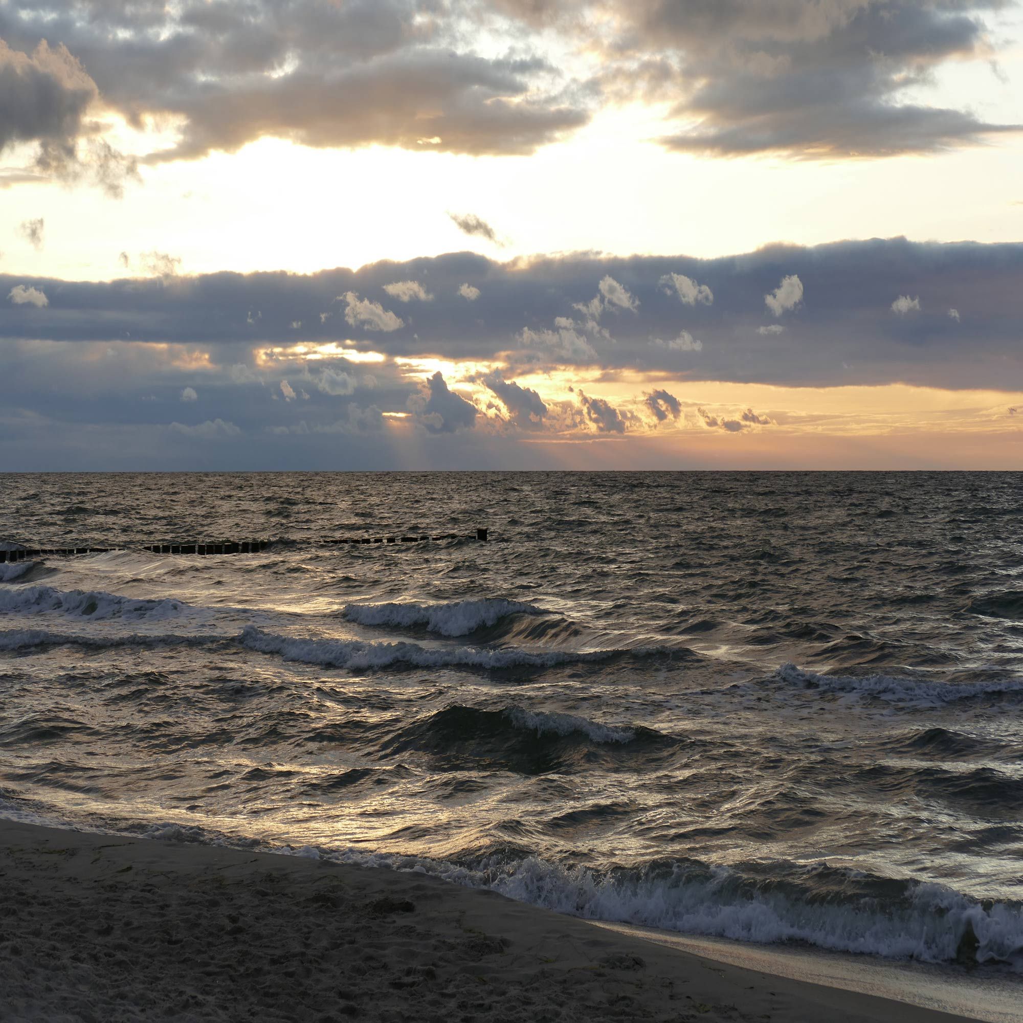 Am Meer