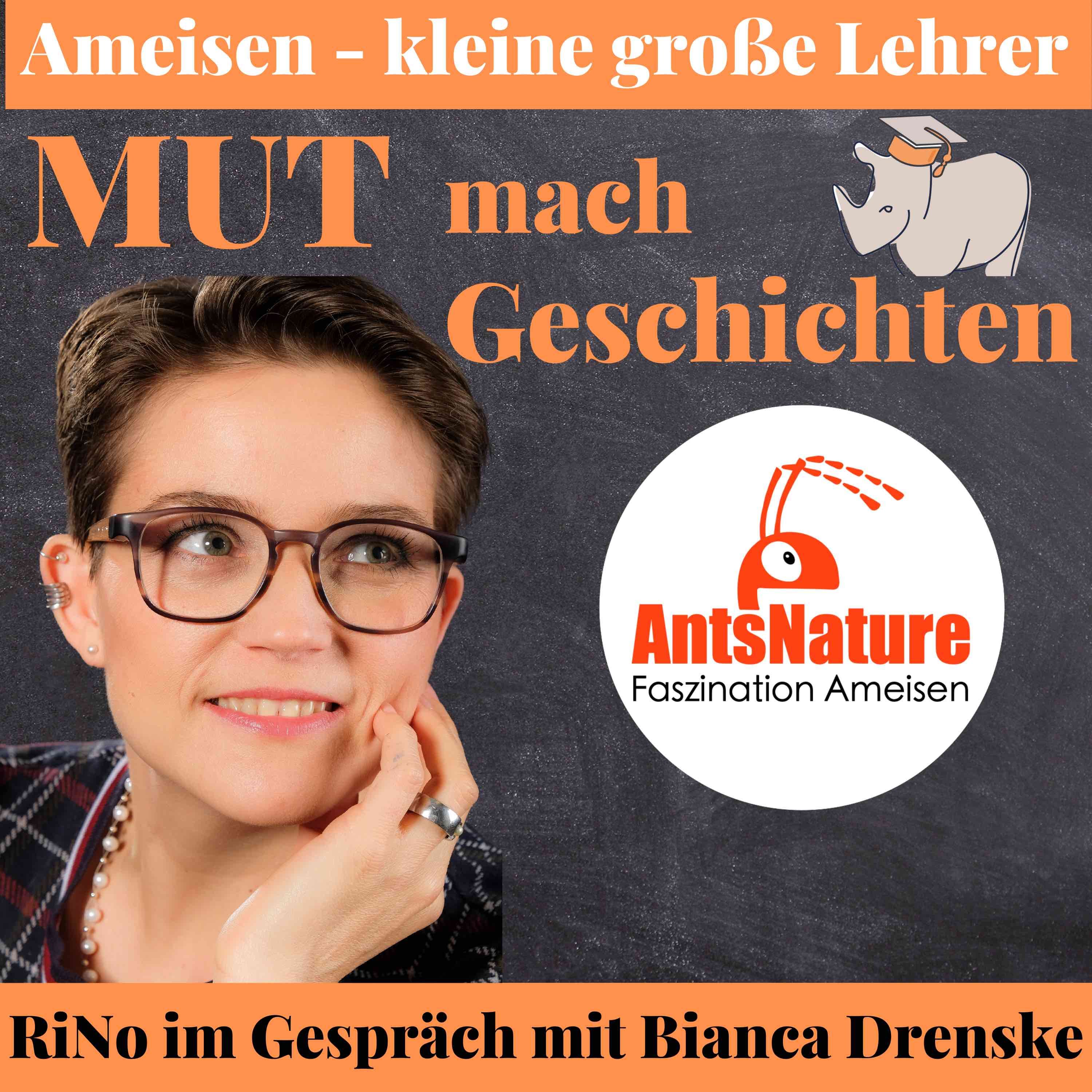 Ameisen - kleine große Lehrer