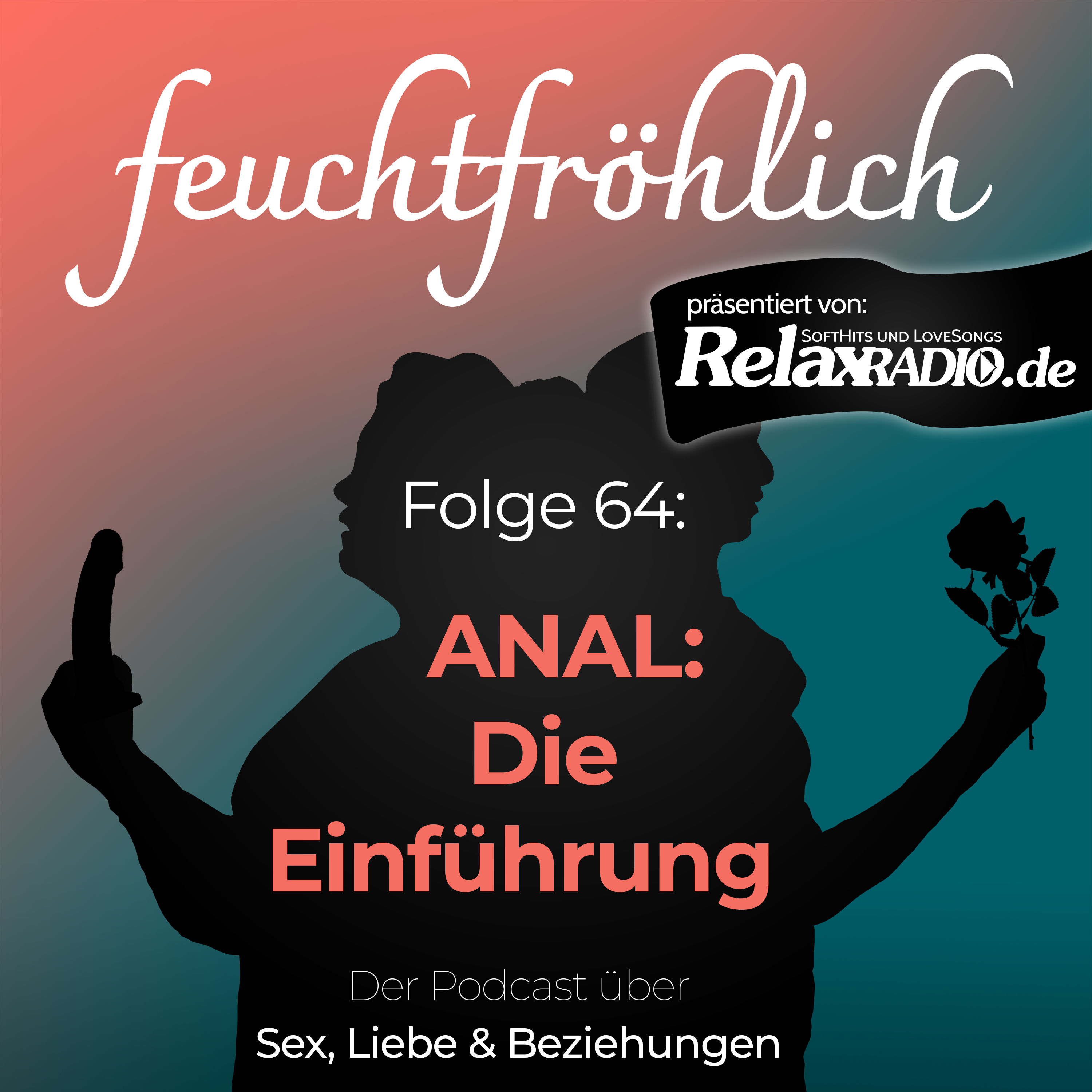 Anal: Die Einführung