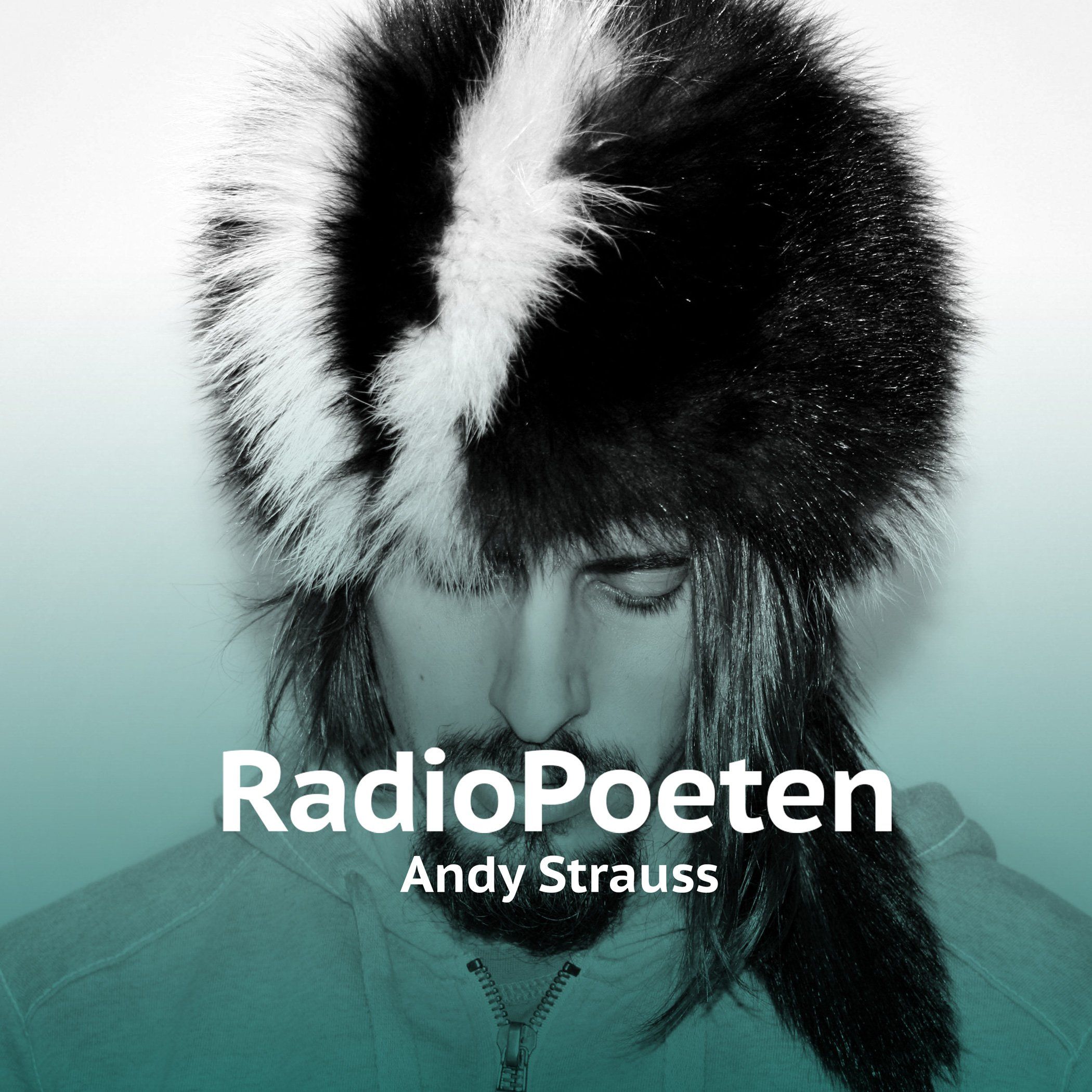 Andy Strauß: Modi Operandi