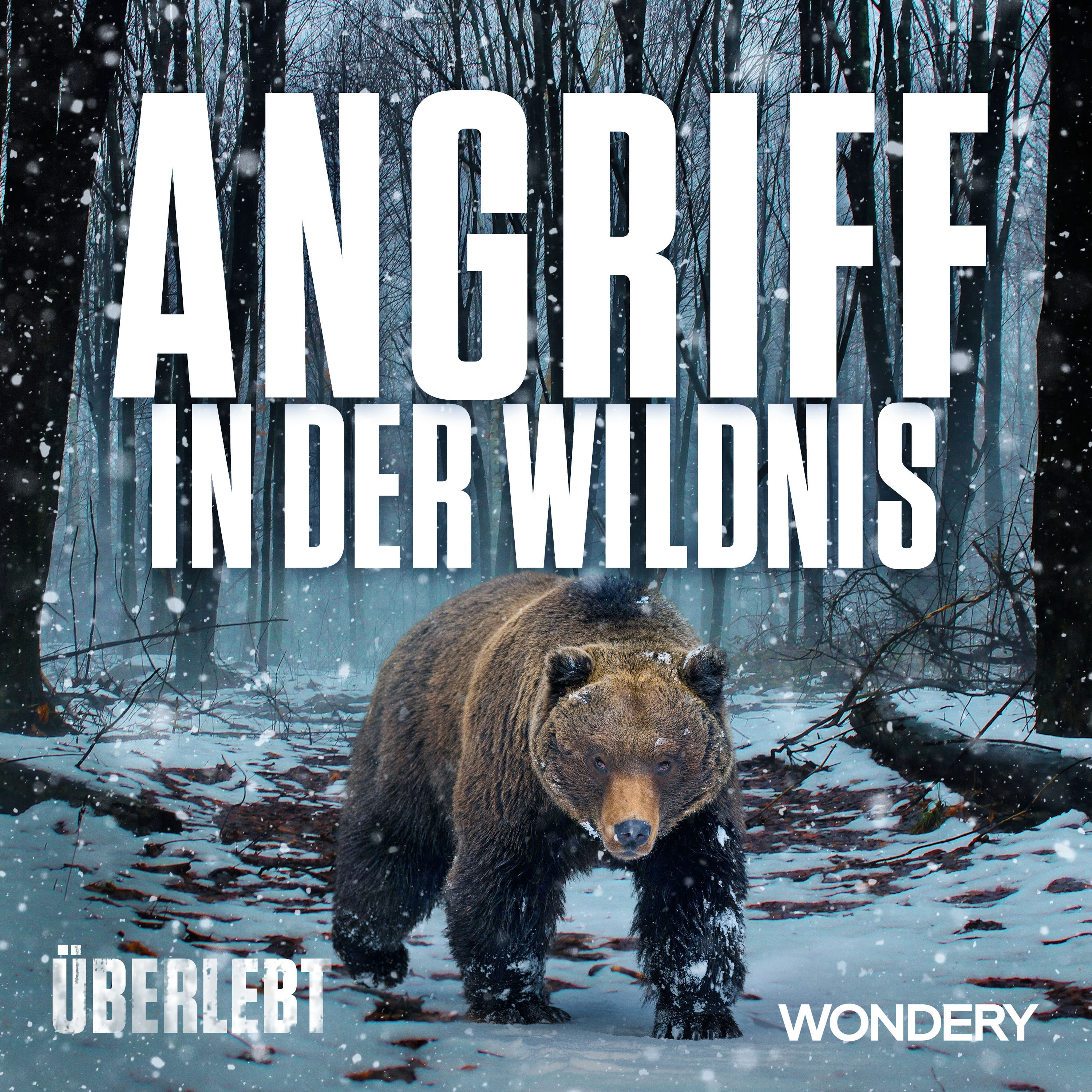 Angriff in der Wildnis | 3 Stunden | 2