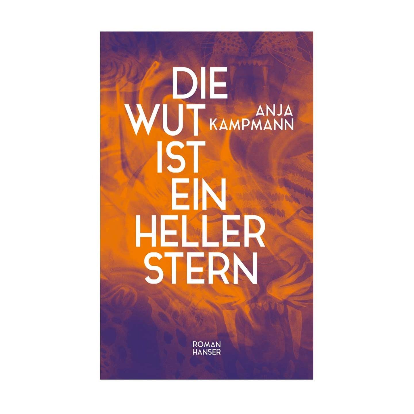 Anja Kampmann: Die Wut ist ein heller Stern