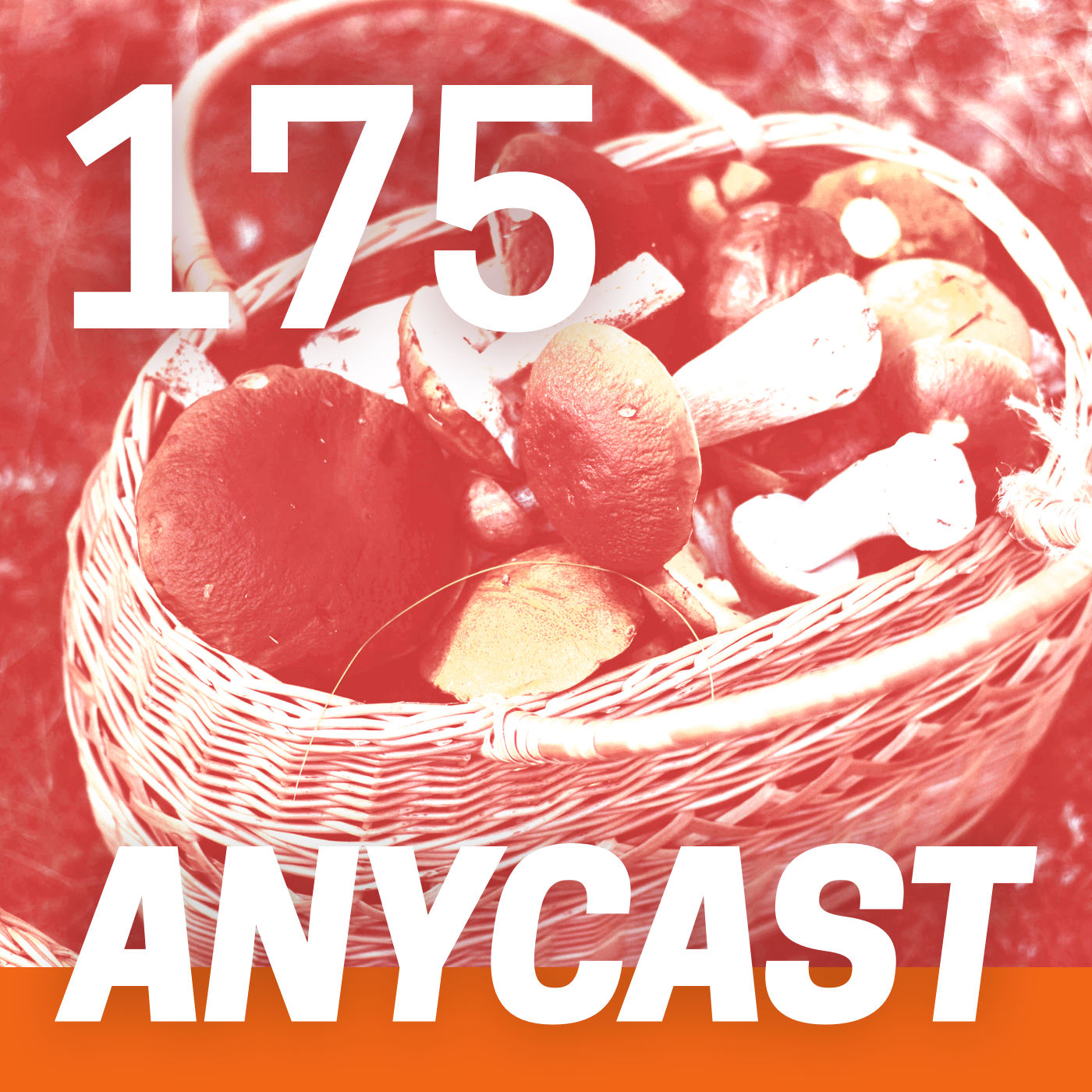 ANY175 – Pilzbrut für Kaffeesatz