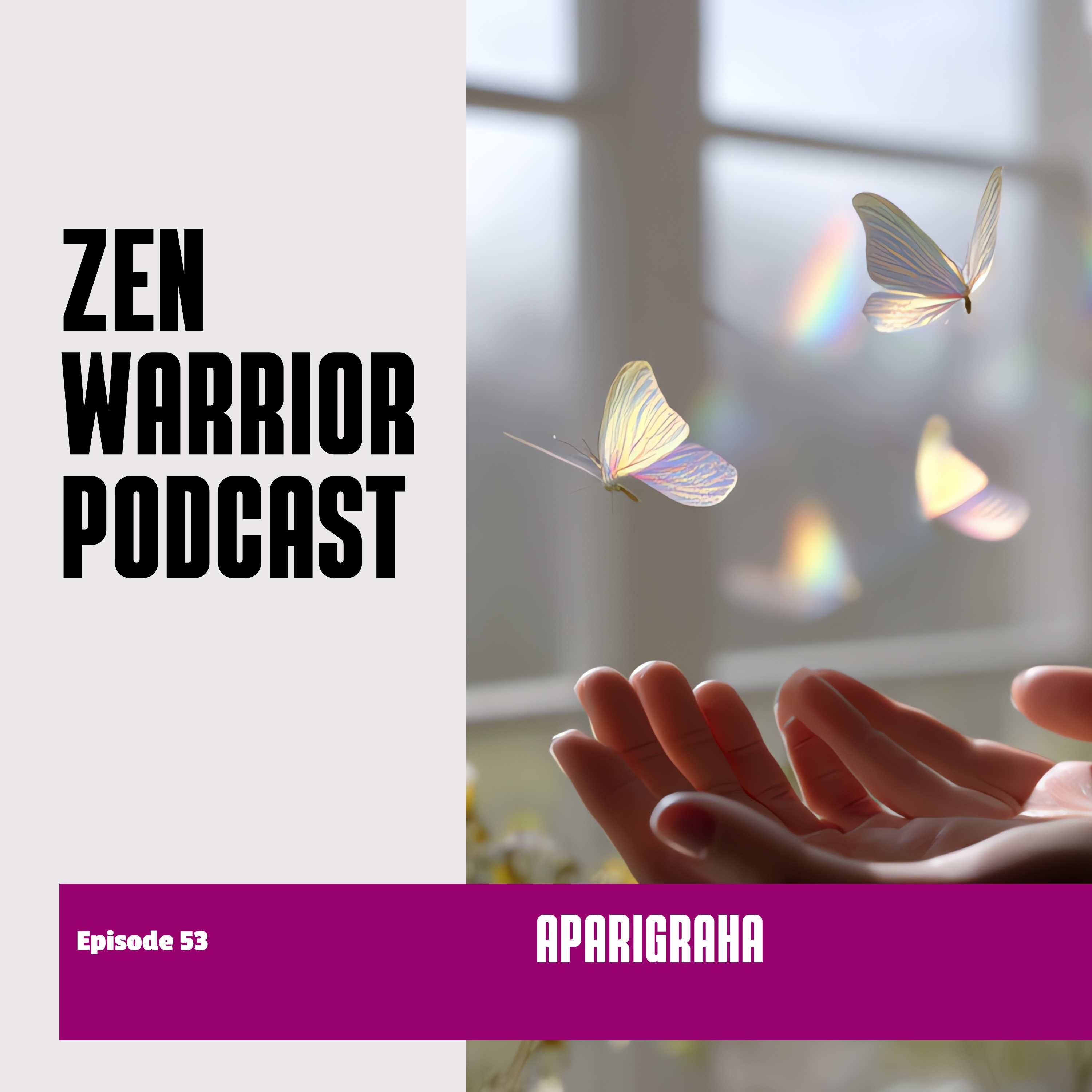 Aparigraha - nicht horten: Zen Warrior Podcast Episode #53