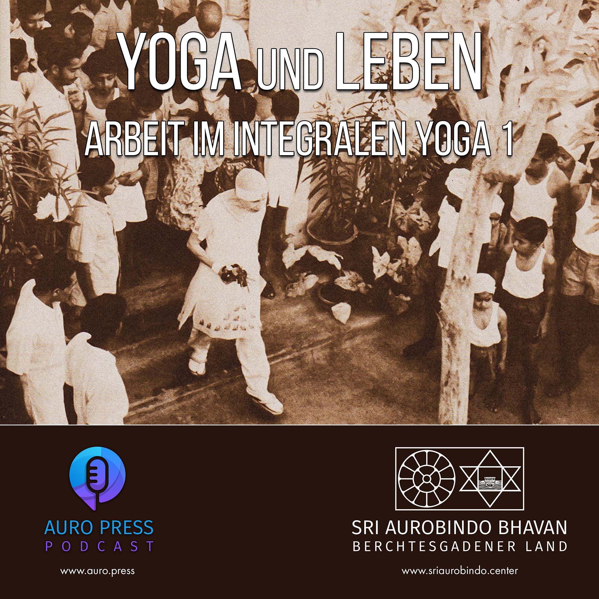 Arbeit im Integralen Yoga 1