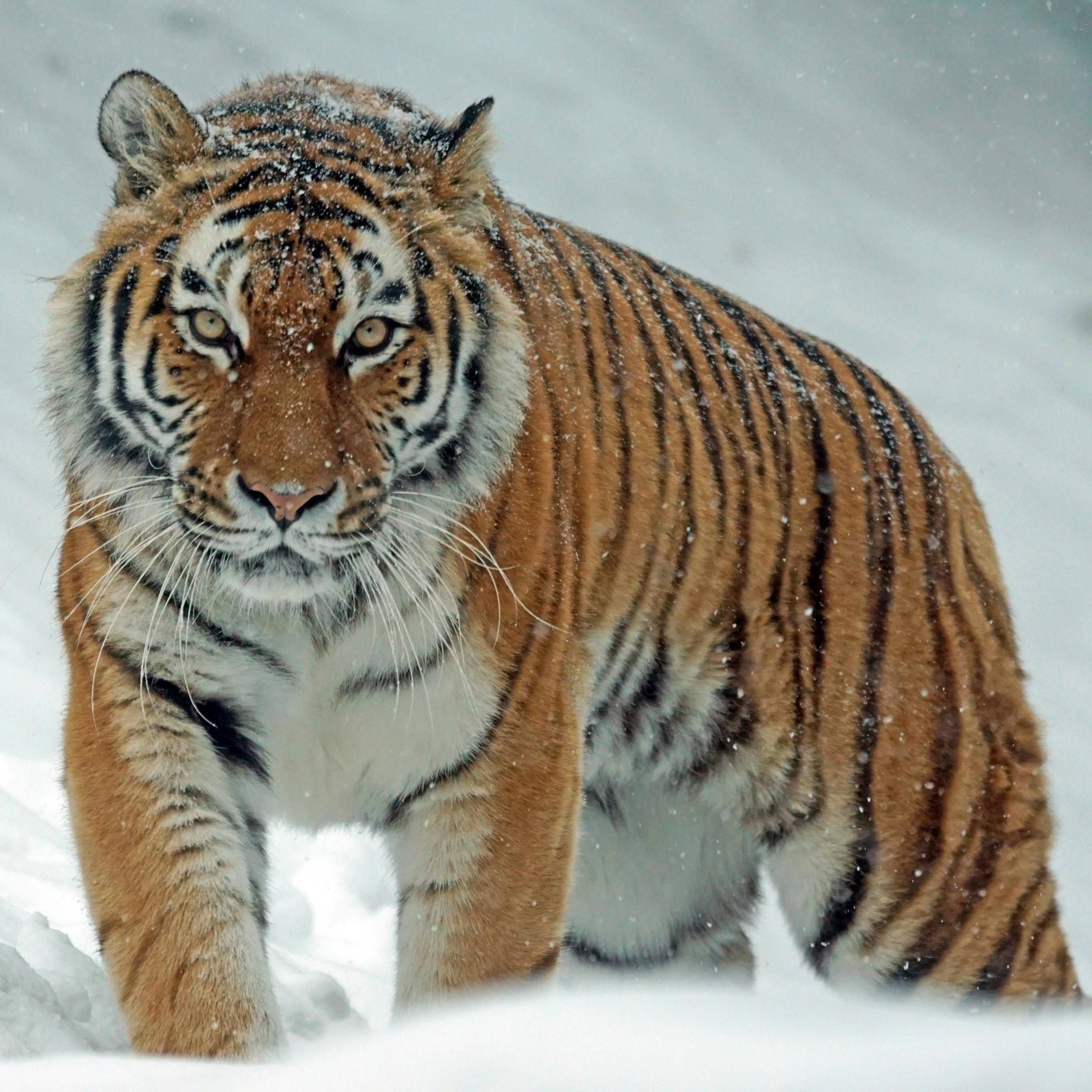 Arbeiten im Winter-Sicher, Gesund und Fit