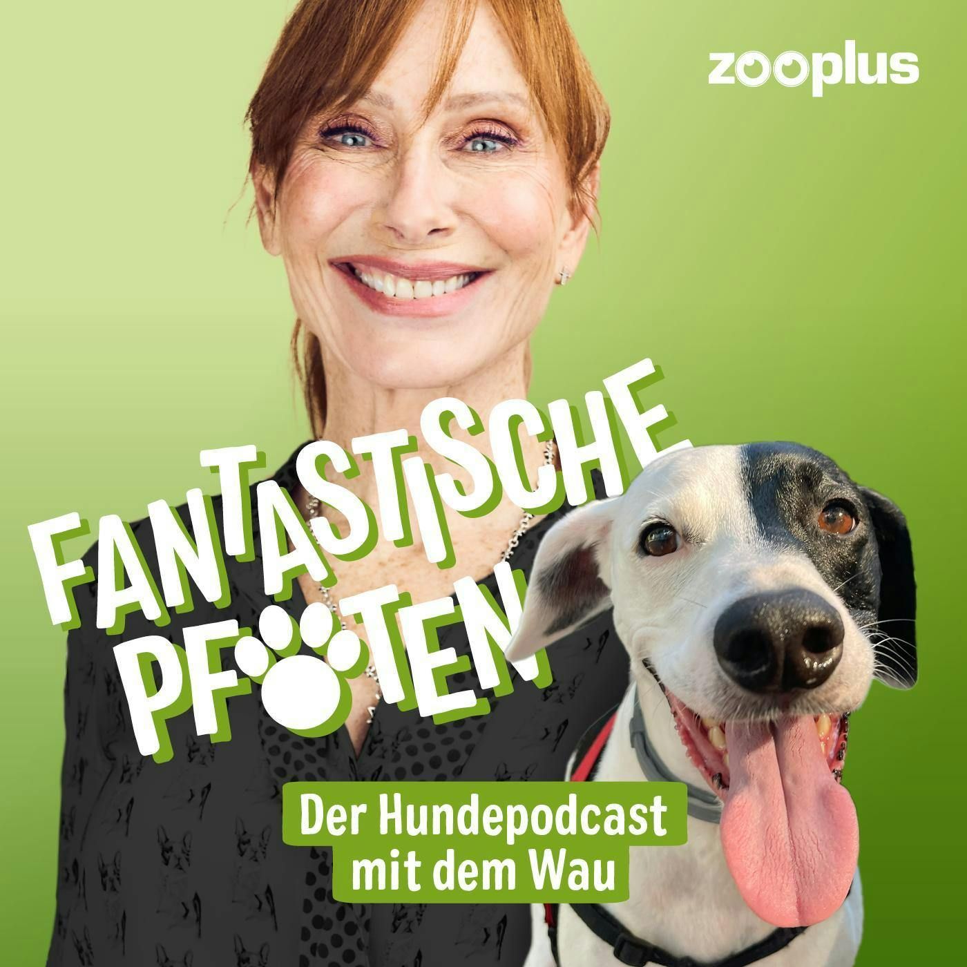 Armer Mops – Wenn krank das neue Normal ist
