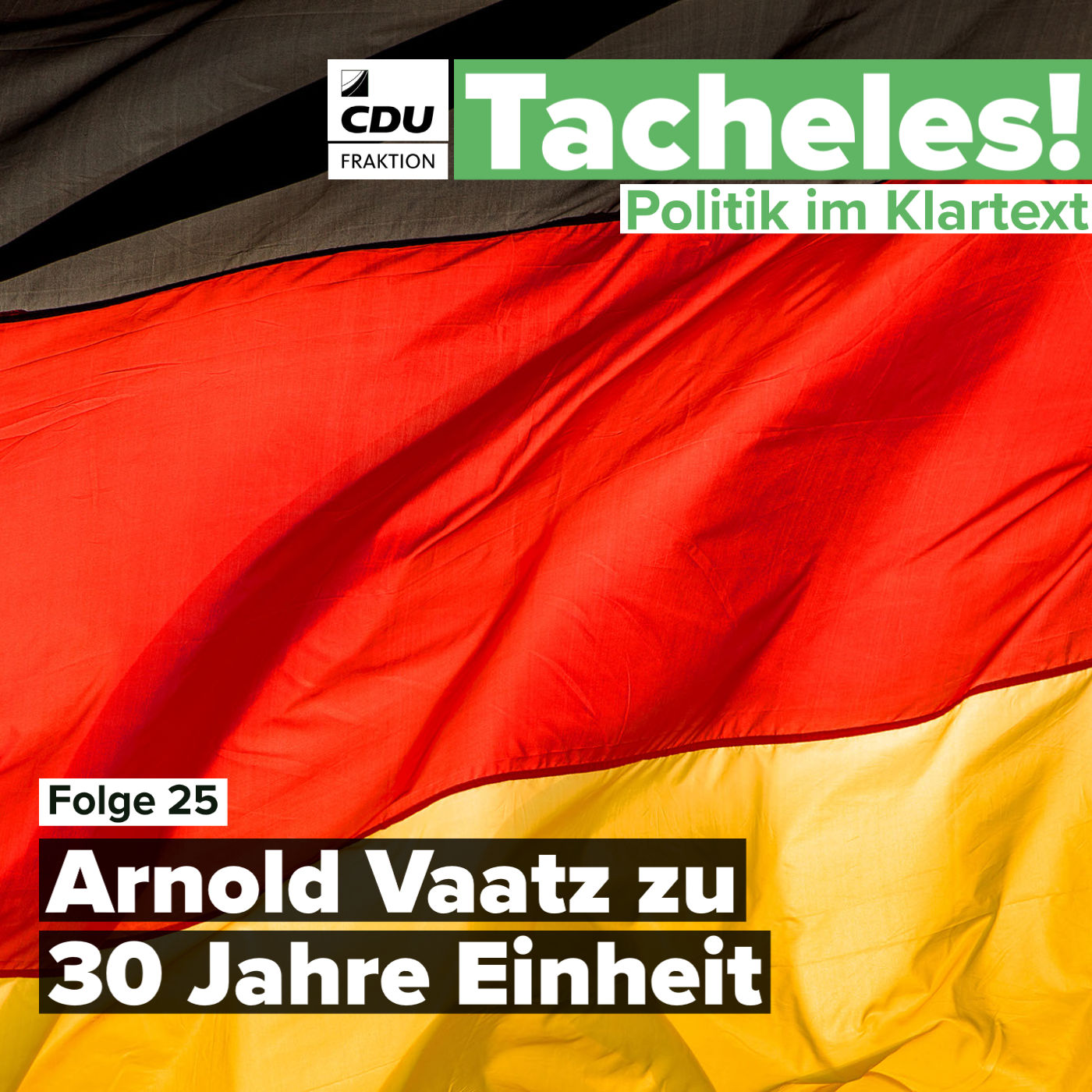 Arnold Vaatz zu 30 Jahre Einheit