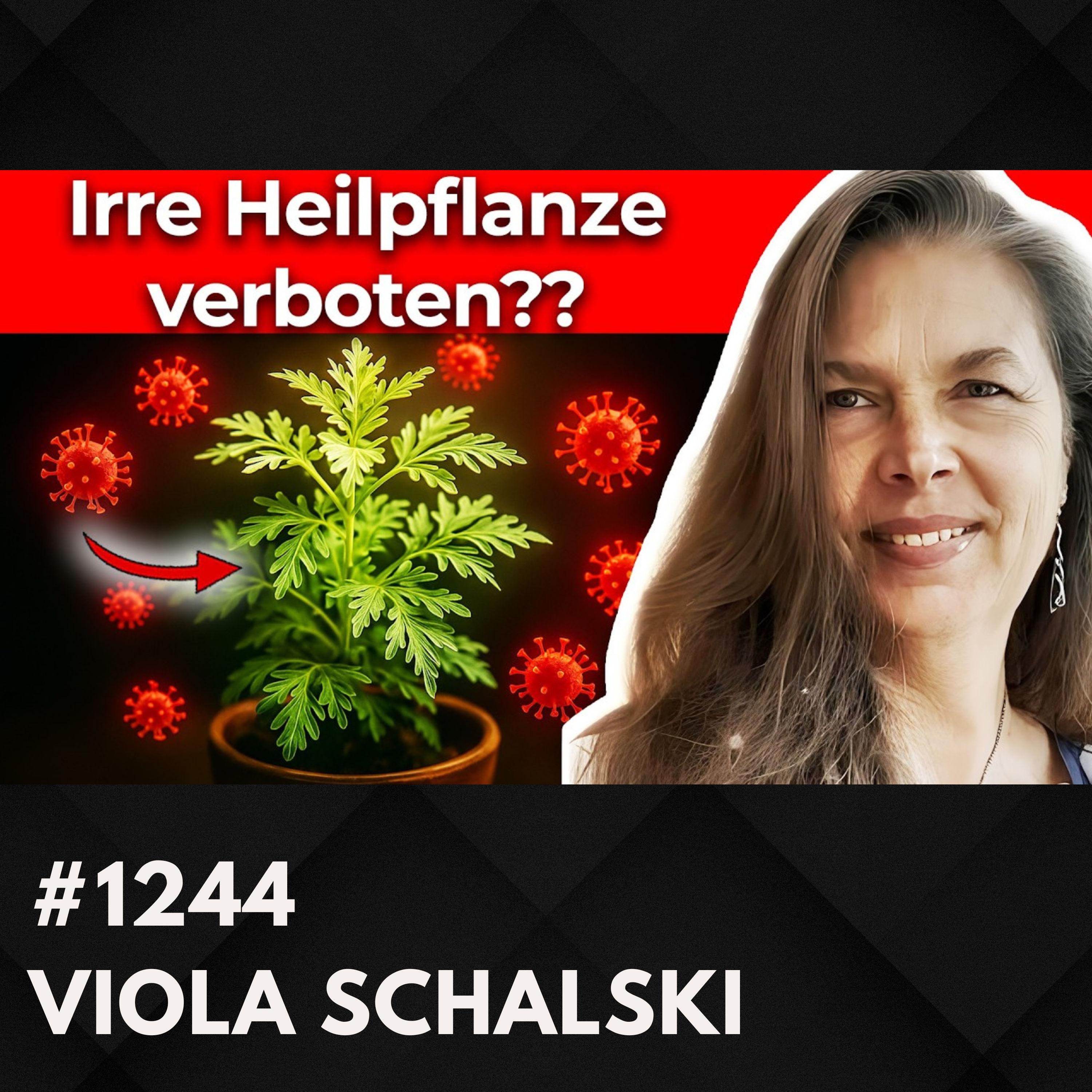 Artemisia annua – Verdeckte Wirkungen? | Viola Schalski #1244