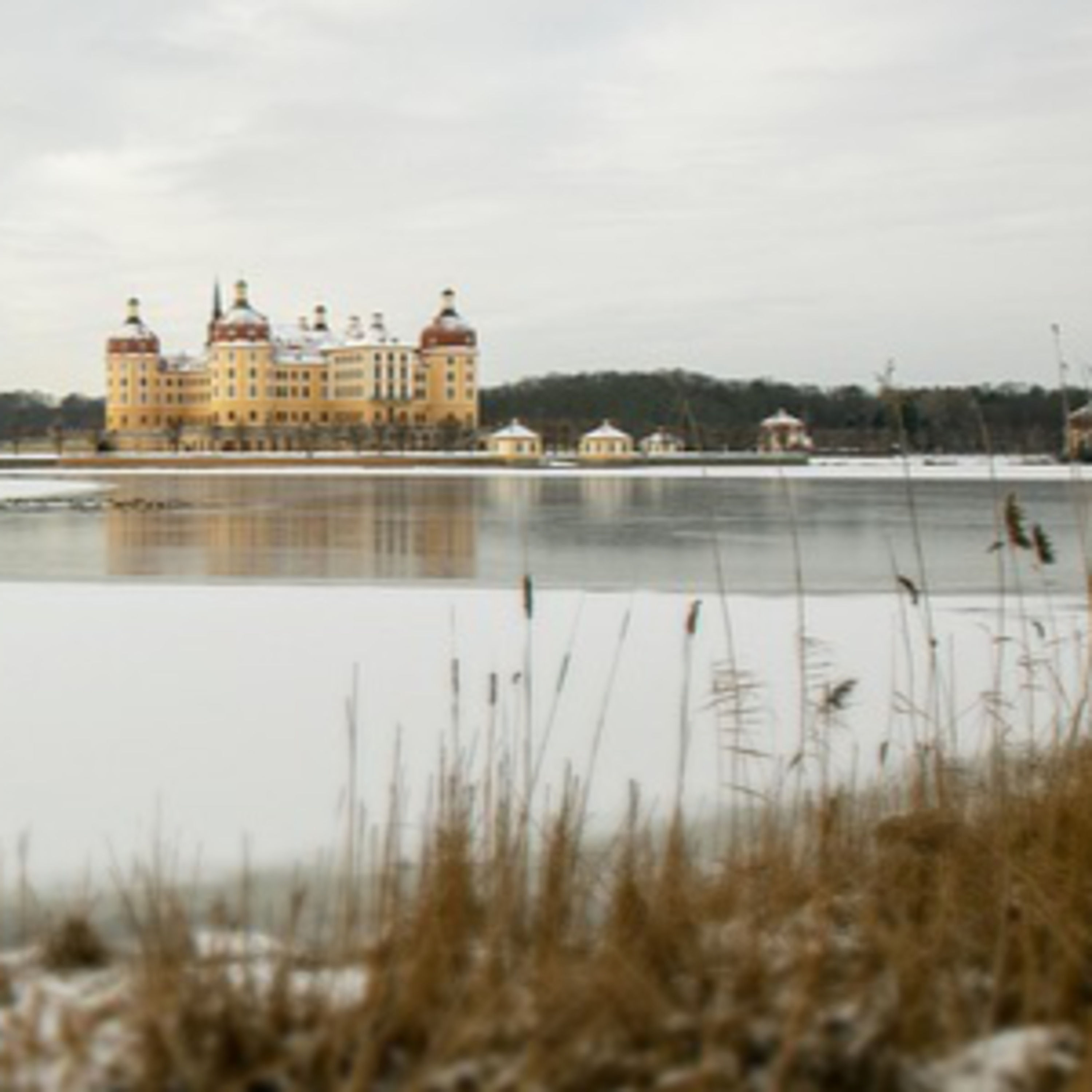 Aschenbrödel und drei Haselnüsse