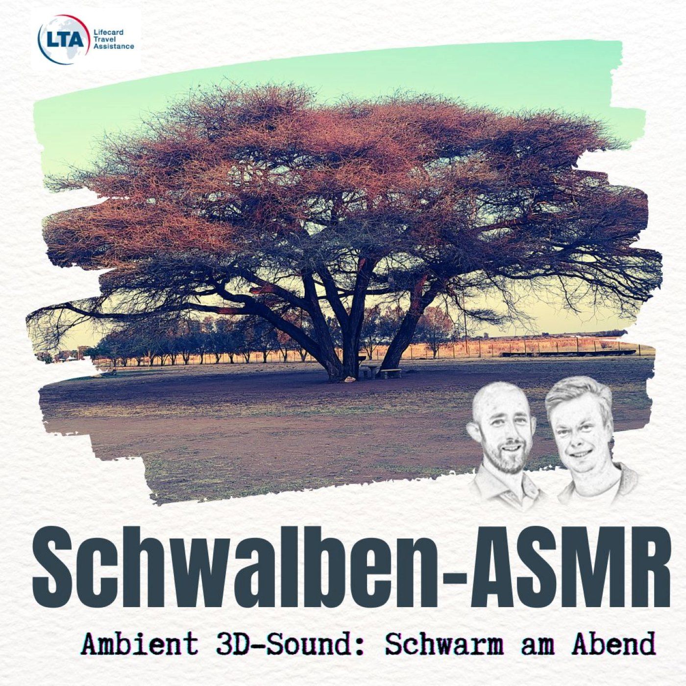 ASMR Schwalbenschwarm in Namibia beim Sonnenuntergang