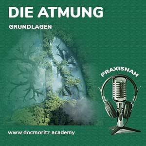 Atmung - Grundlagen zum Verständnis