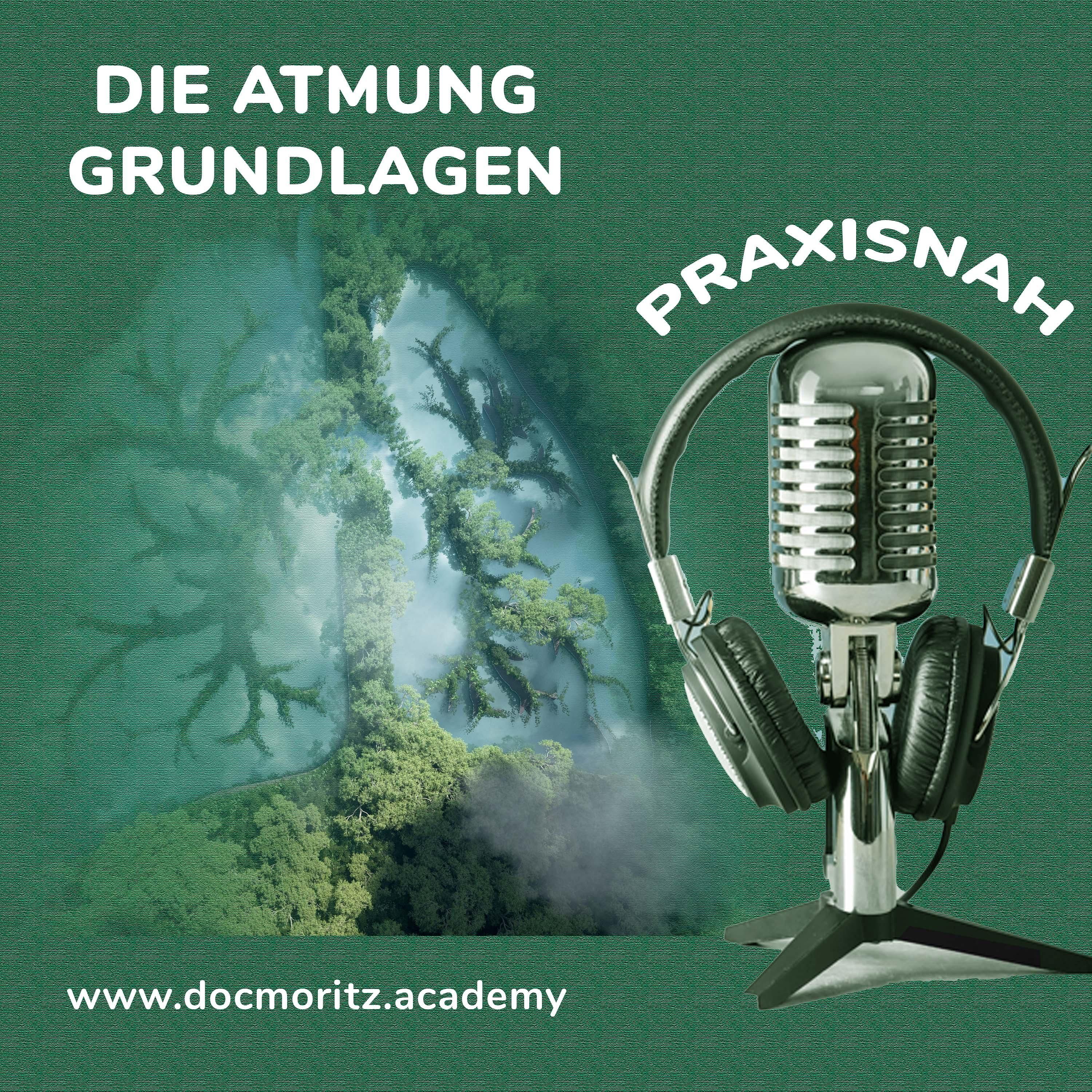 Atmung - Grundlagen zum Verständnis