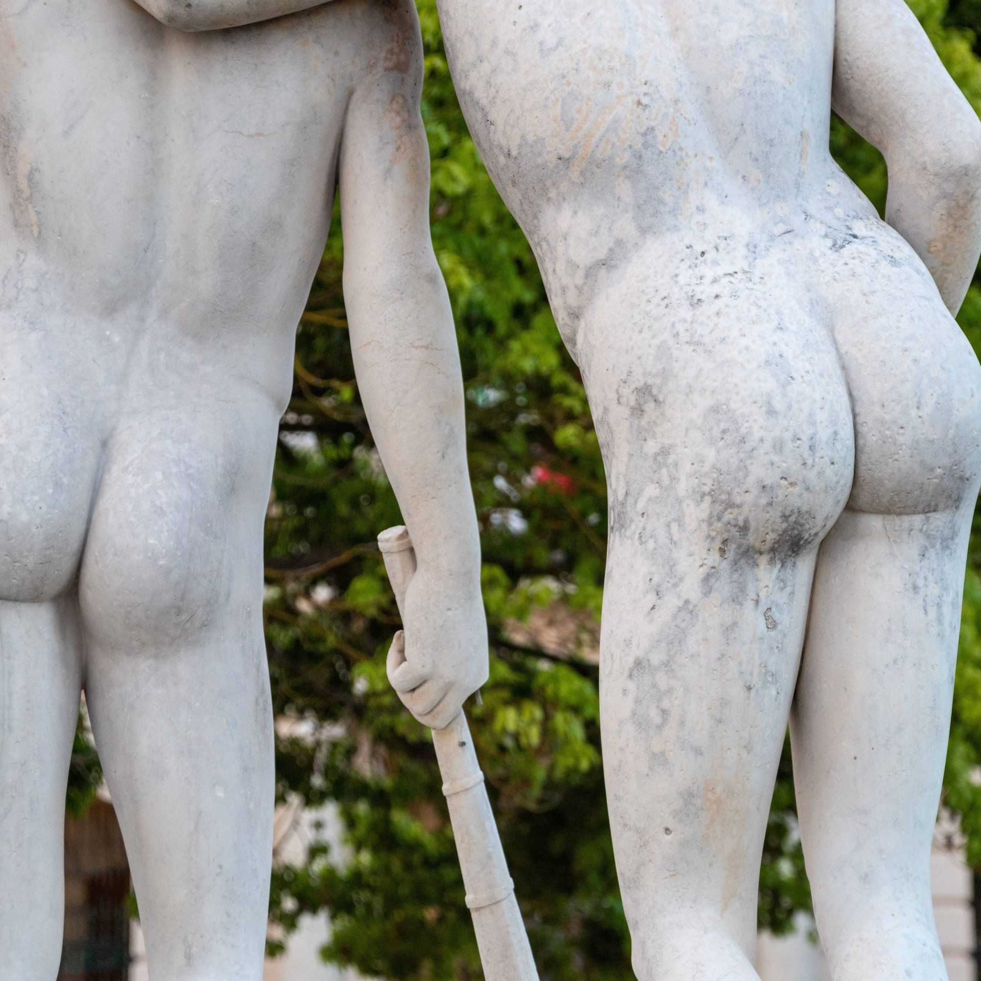 Atmung über den Po im Notfall auch für Menschen sinnvoll