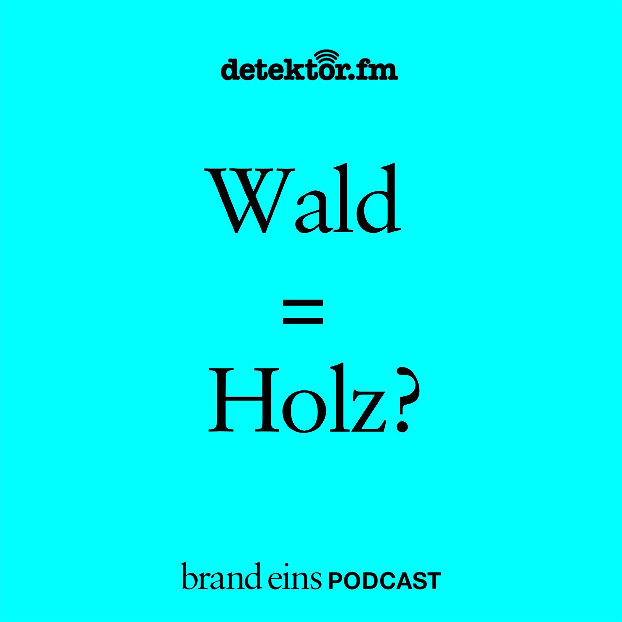Auch der Wald muss diverser werden