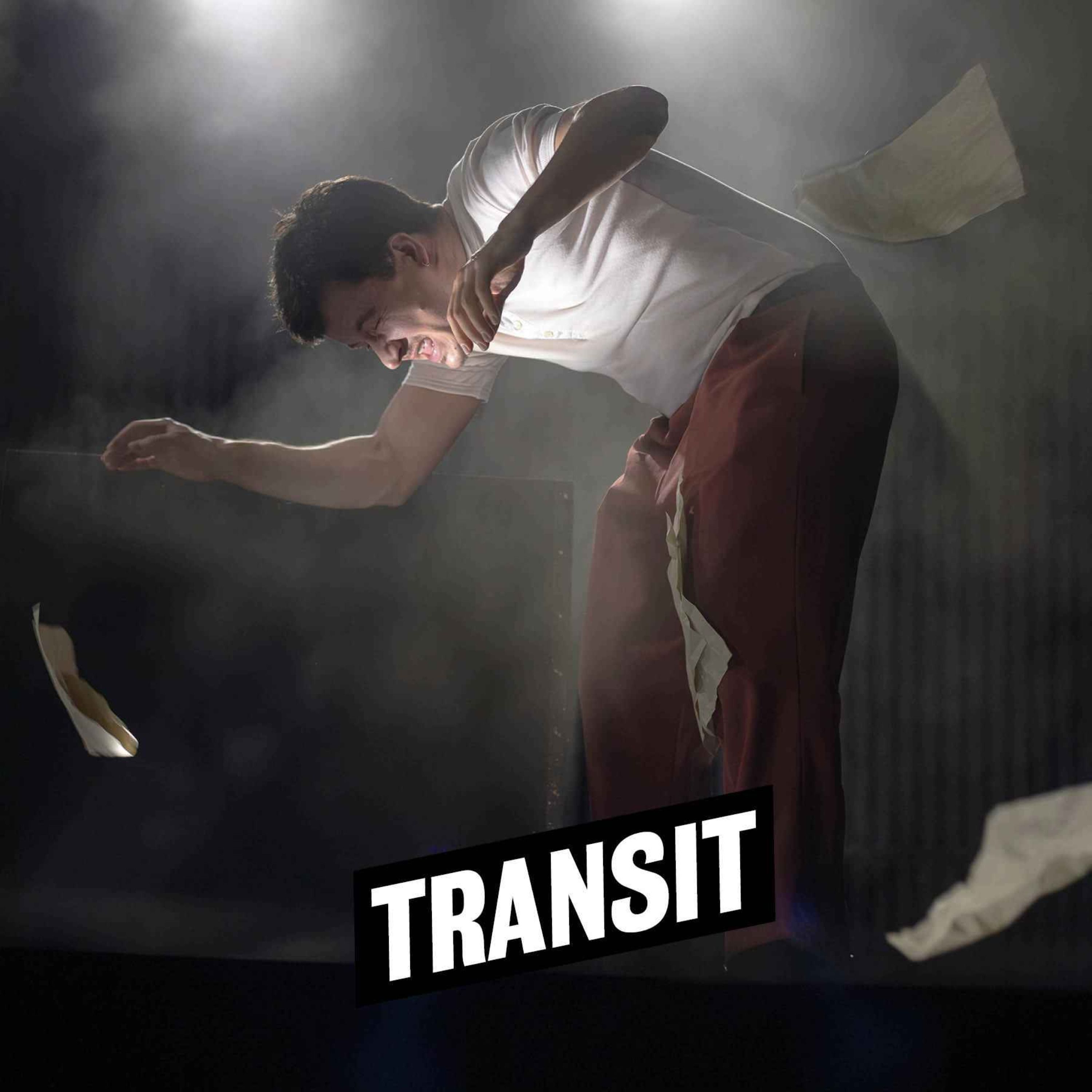 Audioeinführung "Transit"