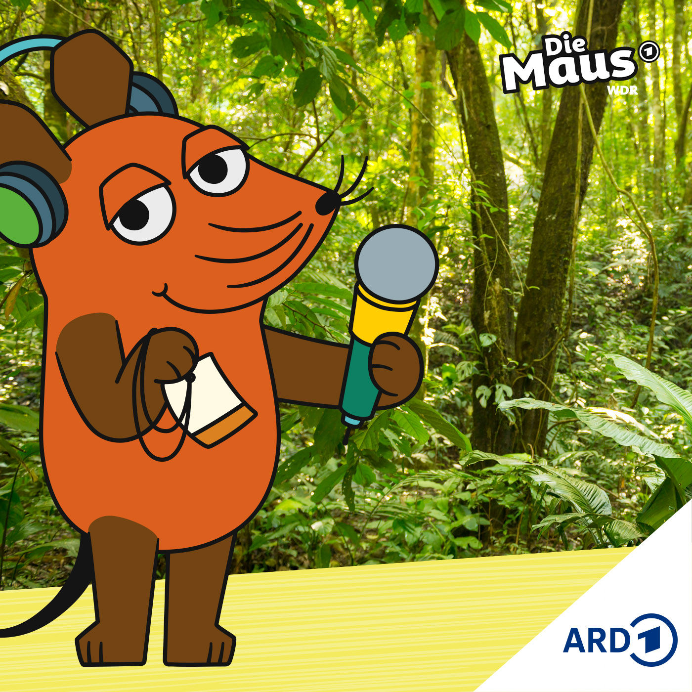 Auf der Klimakonferenz geht's um den Regenwald