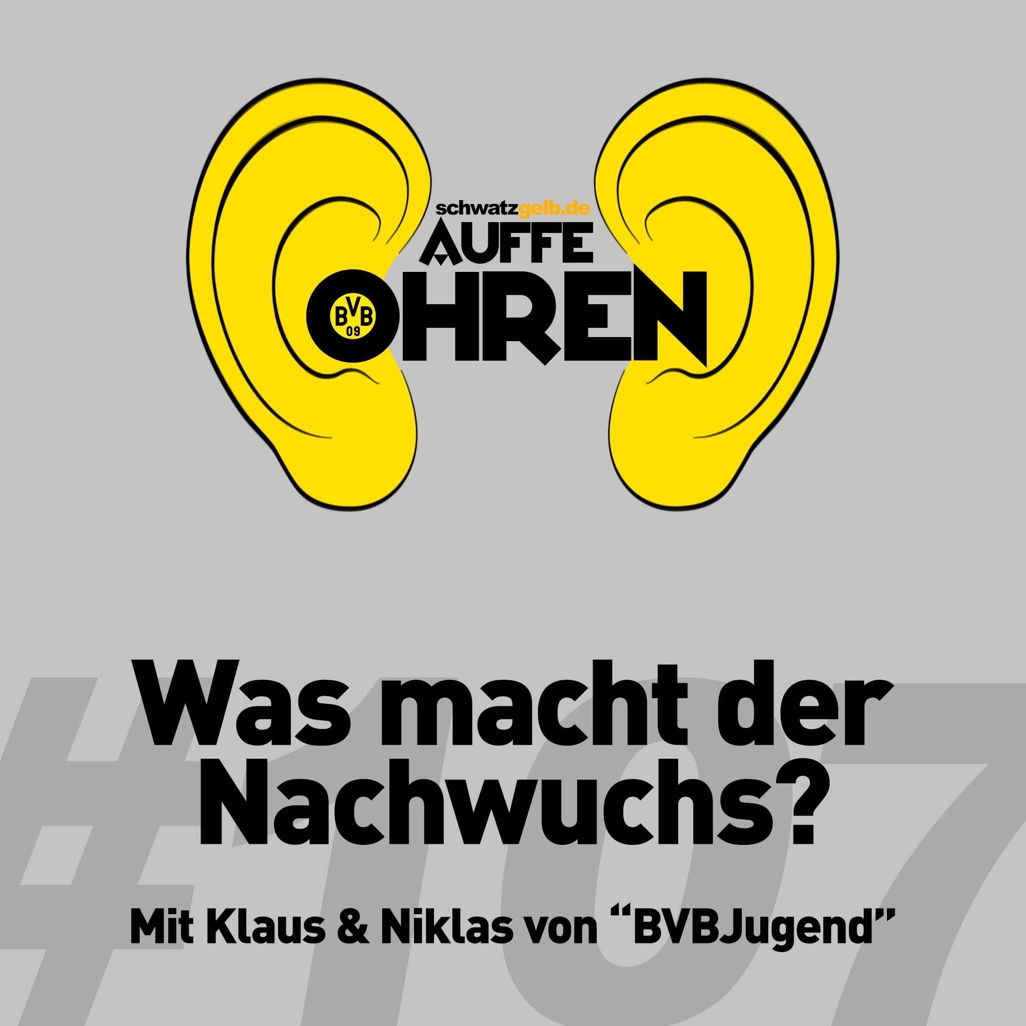 Auffe Ohren #107: Was macht der Nachwuchs?