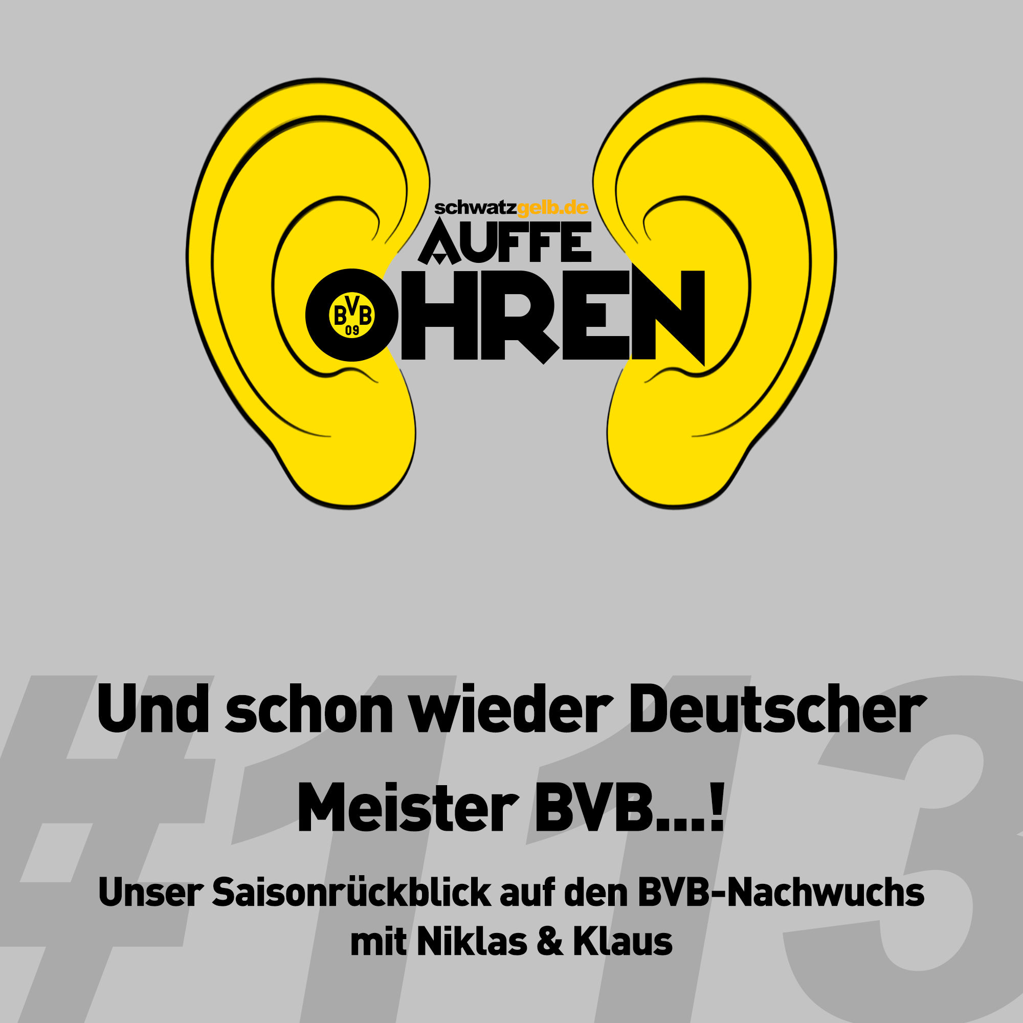 Auffe Ohren #113: Und schon wieder deutscher Meister BVB...!