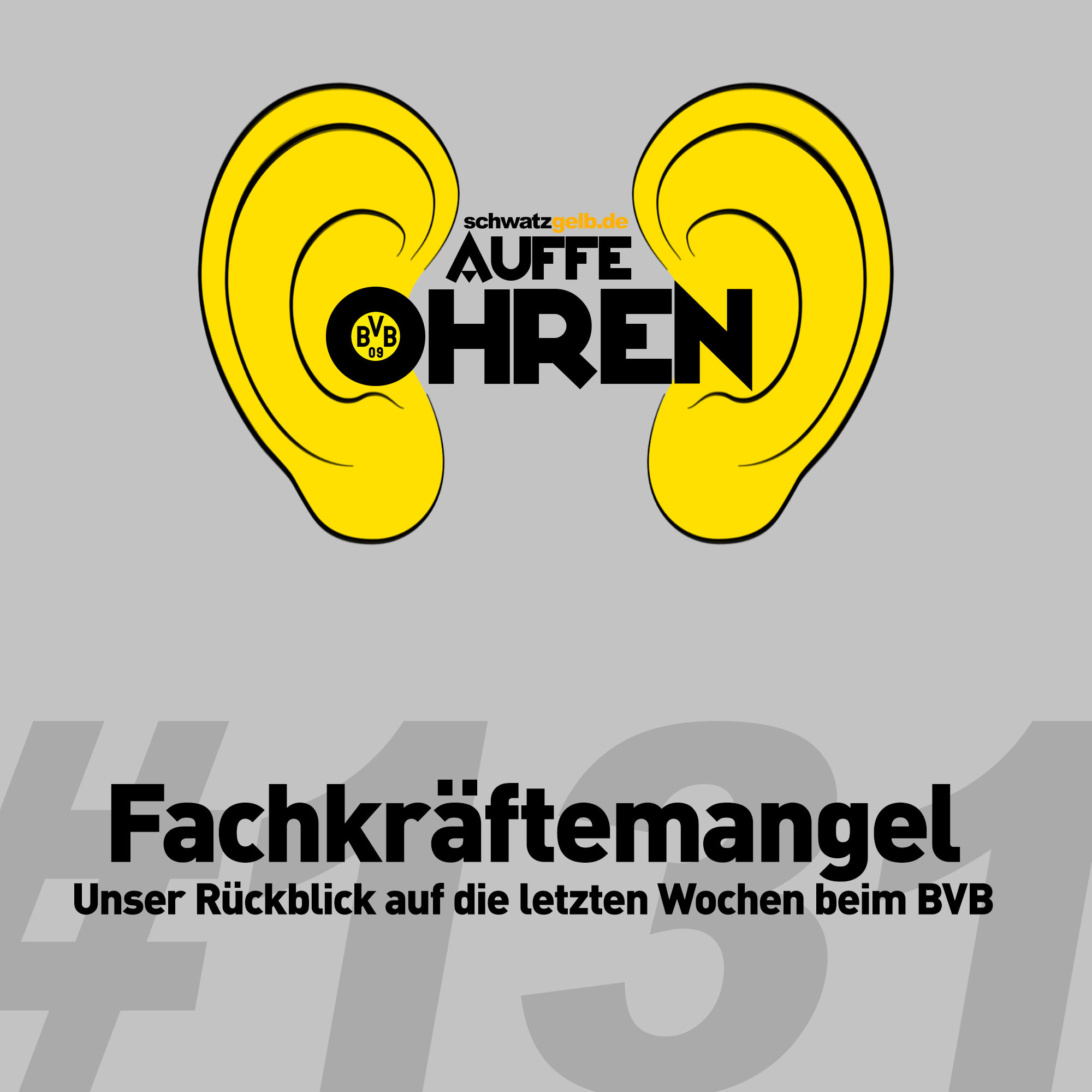 Auffe Ohren #131: Fachkräftemangel