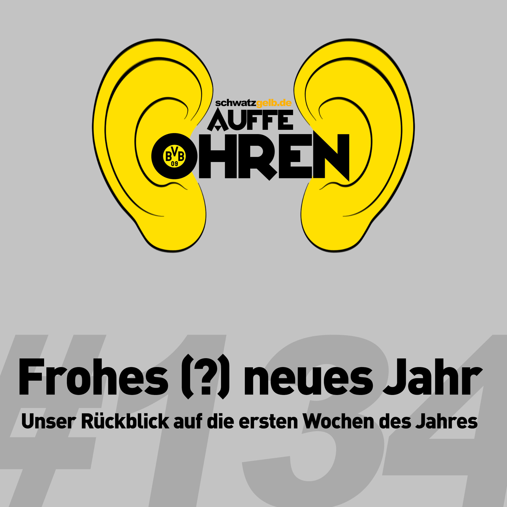 Auffe Ohren #134: Frohes (?) neues Jahr