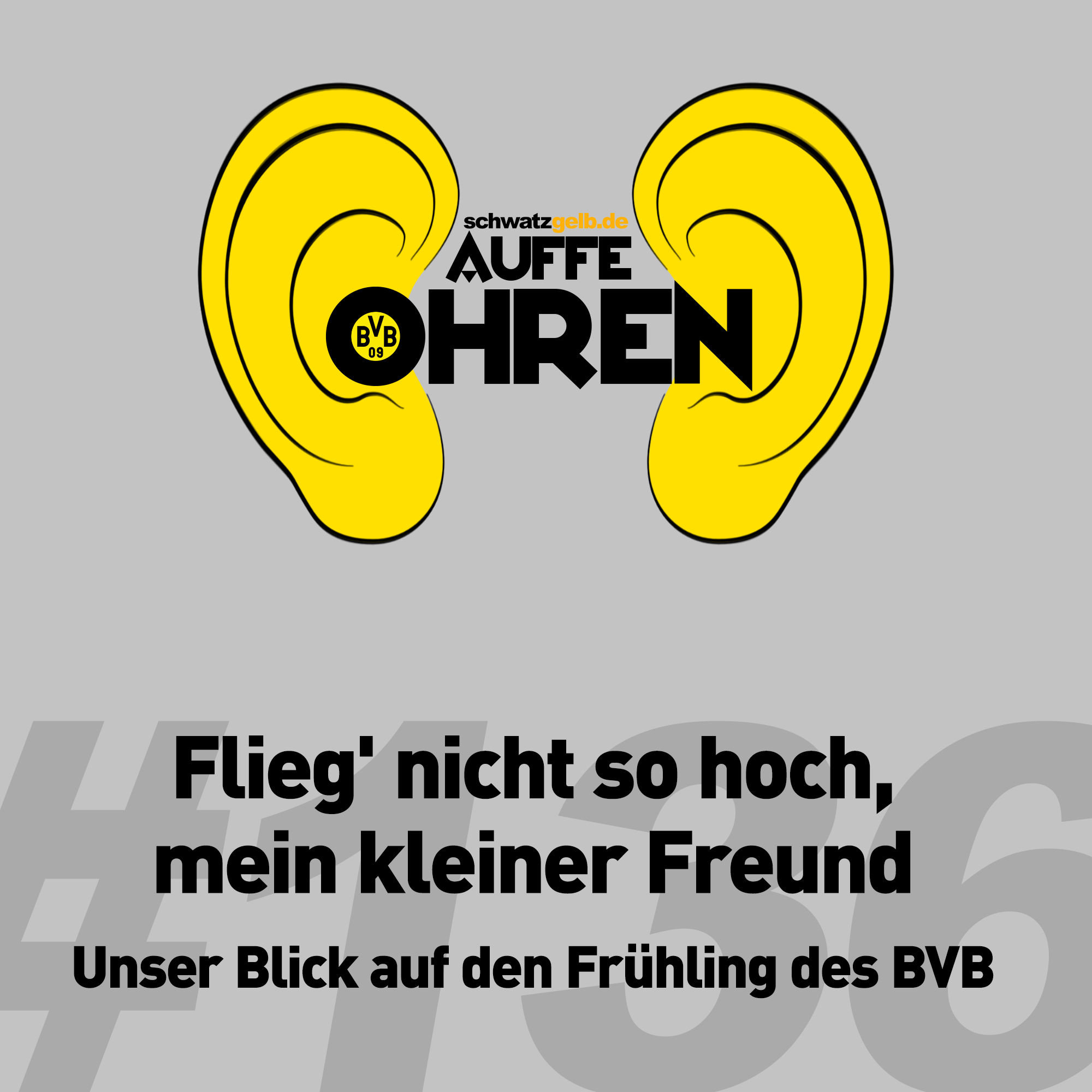 Auffe Ohren #136: Flieg' nicht so hoch, mein kleiner Freund