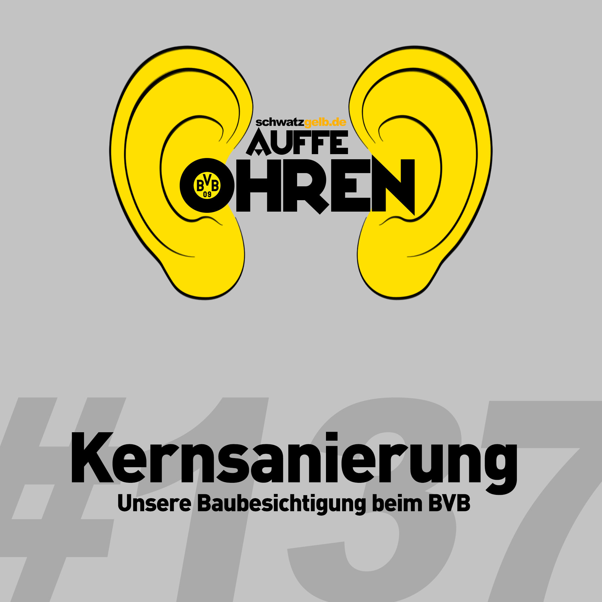 Auffe Ohren #137: Kernsanierung