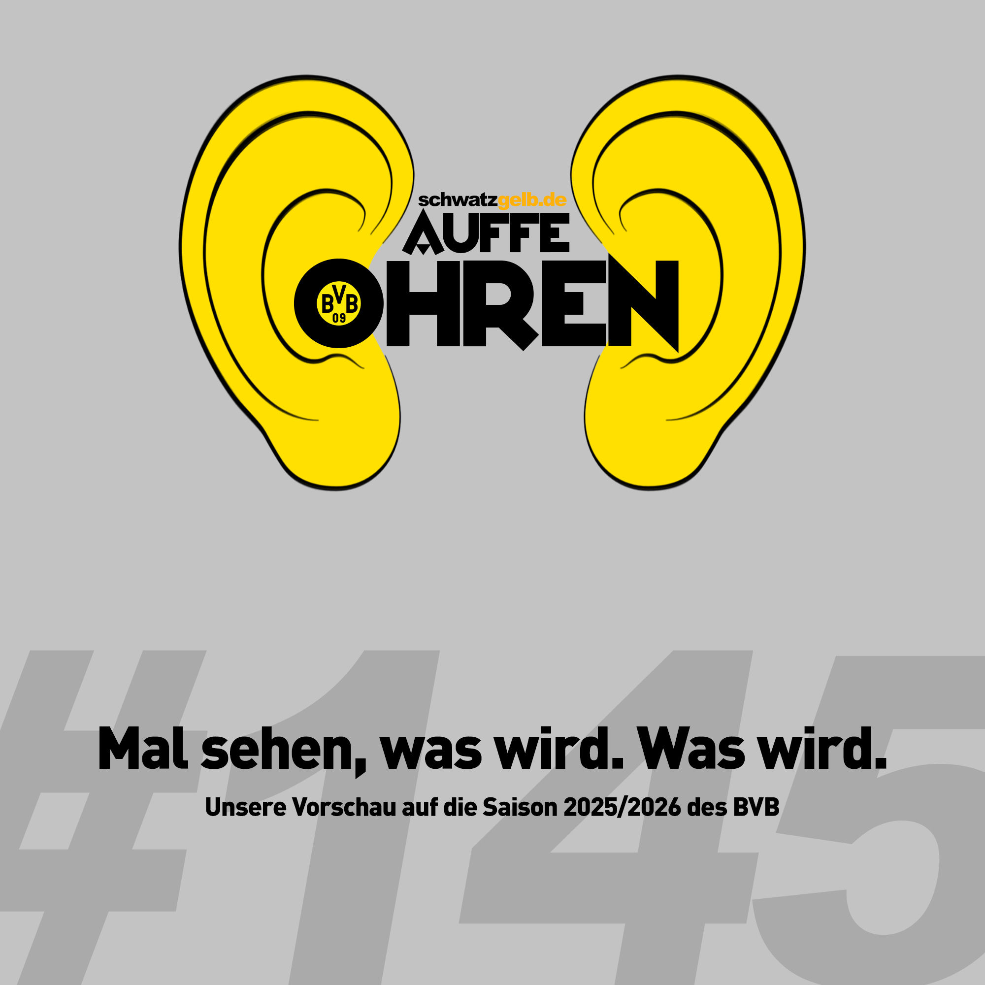 Auffe Ohren #145: Mal sehen, was wird. Was wird.