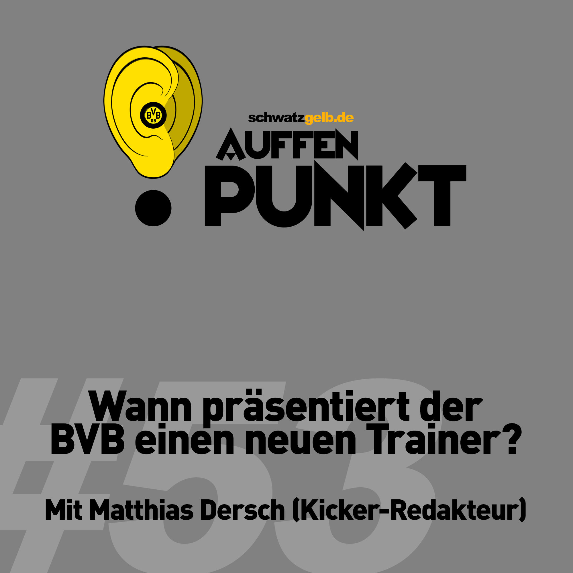 Auffen Punkt #53: Wann präsentiert der BVB einen neuen Trainer?
