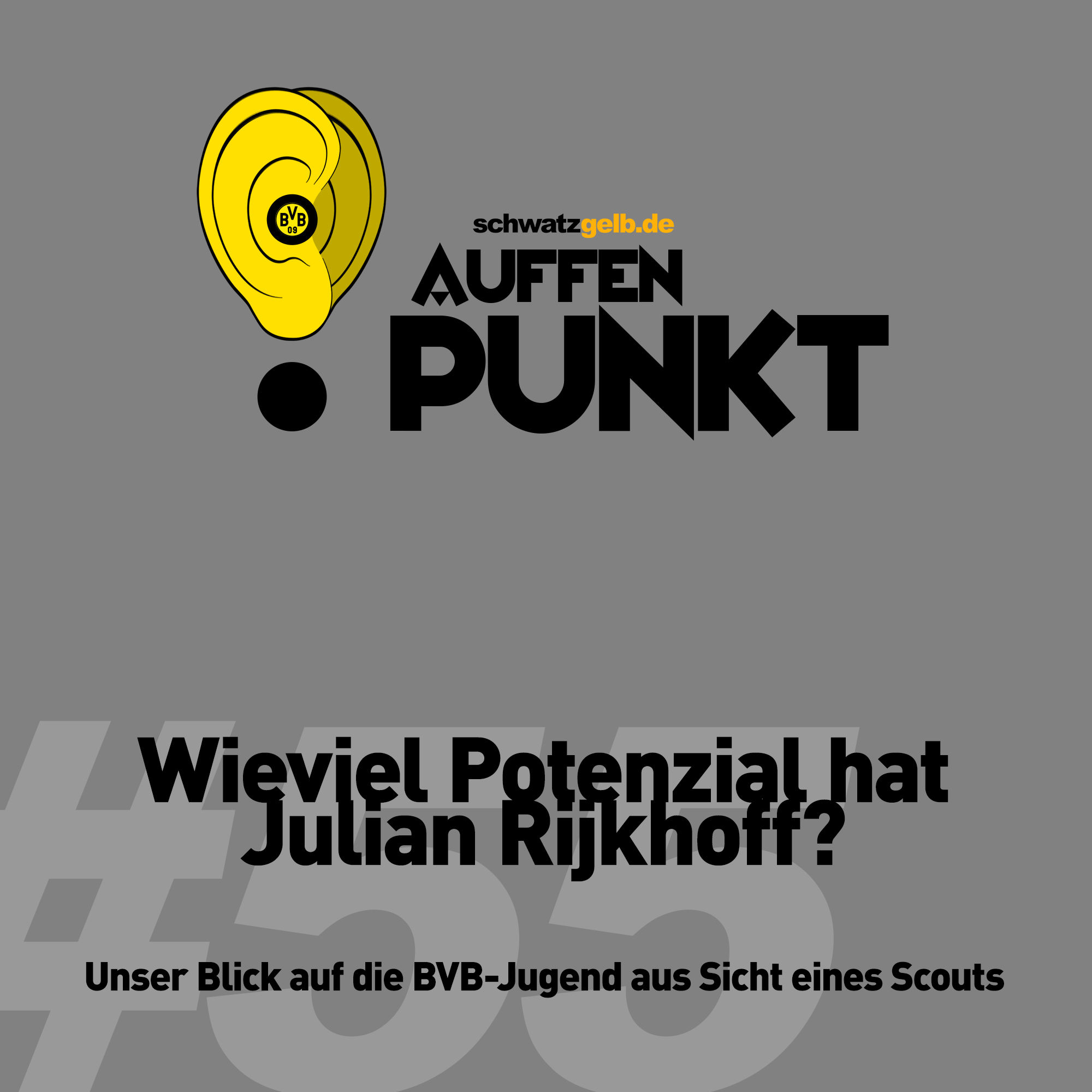 Auffen Punkt #55: Wieviel Potenzial hat Julian Rijkhoff?