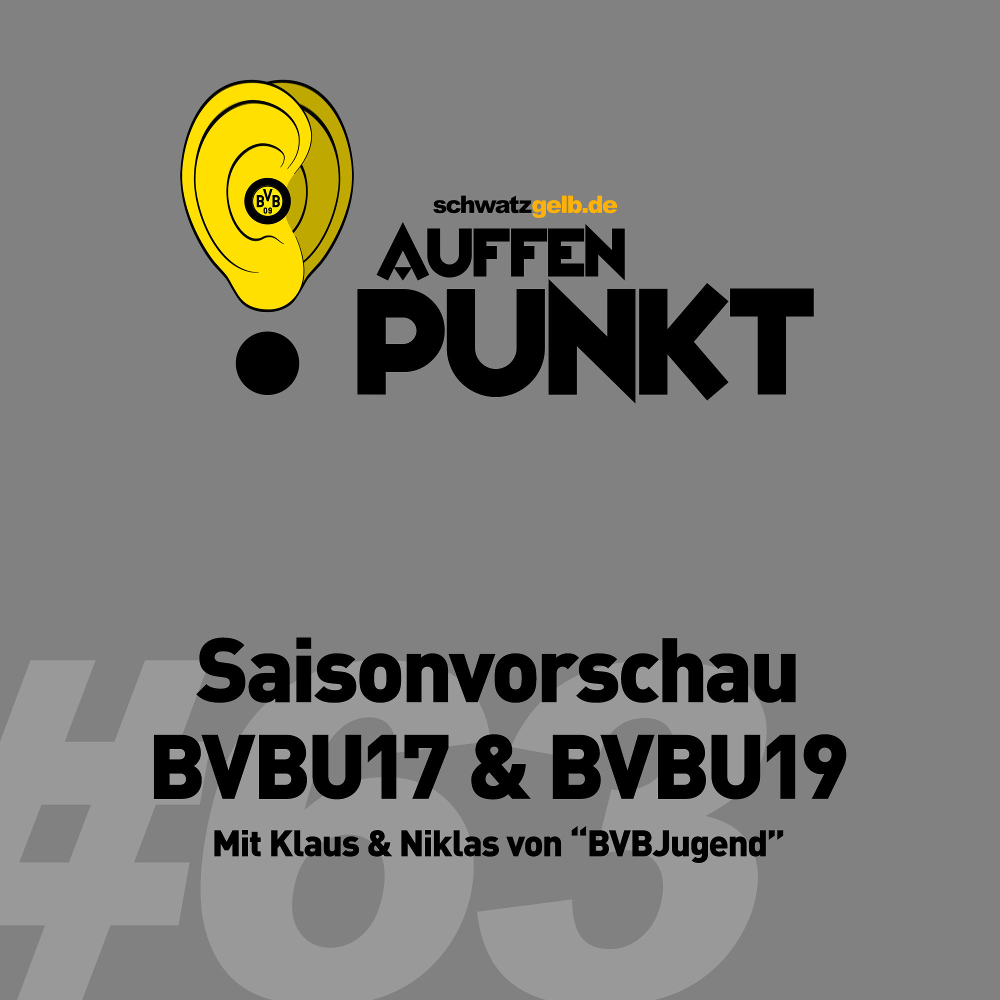 Auffen Punkt #63: Saisonvorschau BVBU17 & BVBU19