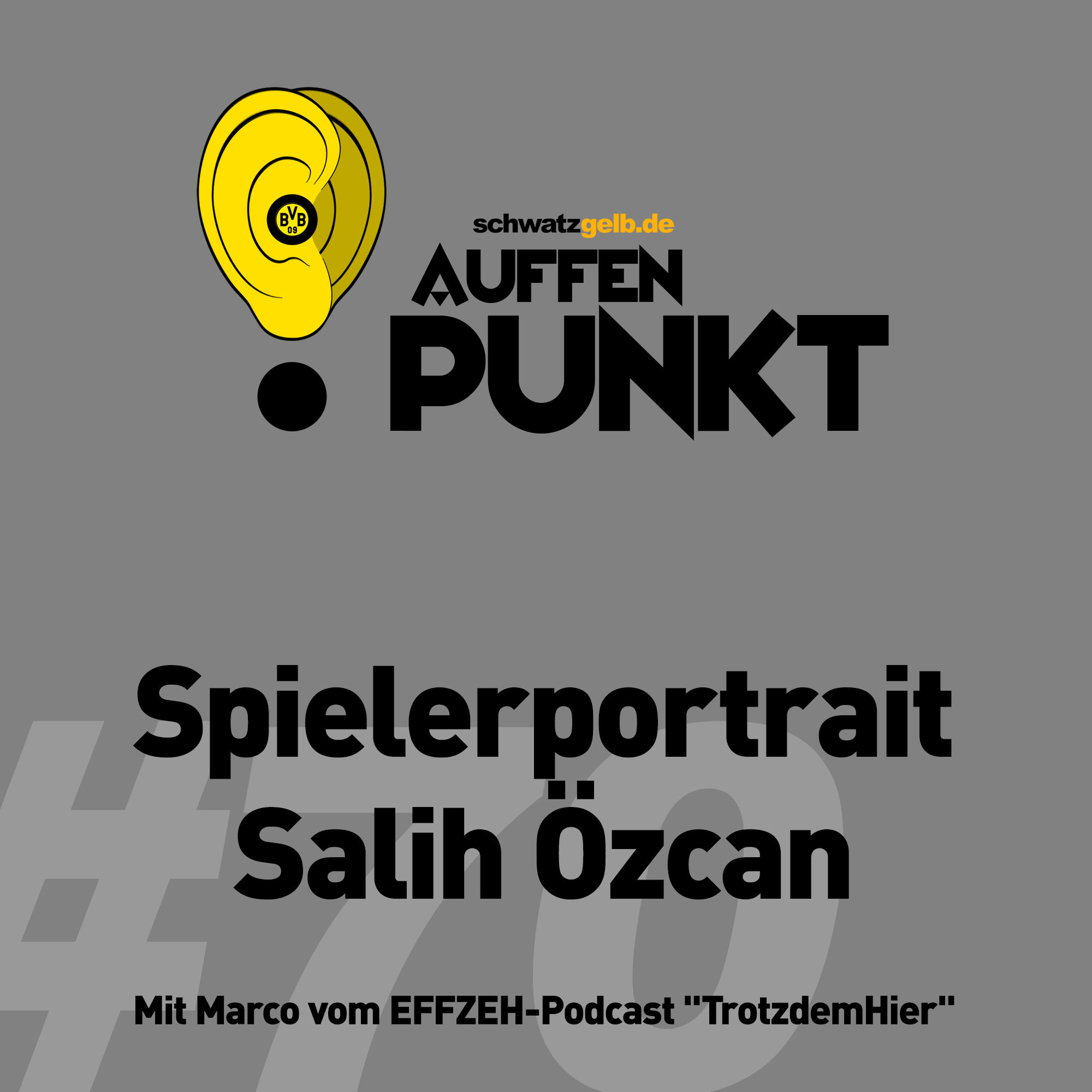 Auffen Punkt #70: Spielerportrait Salih Özcan