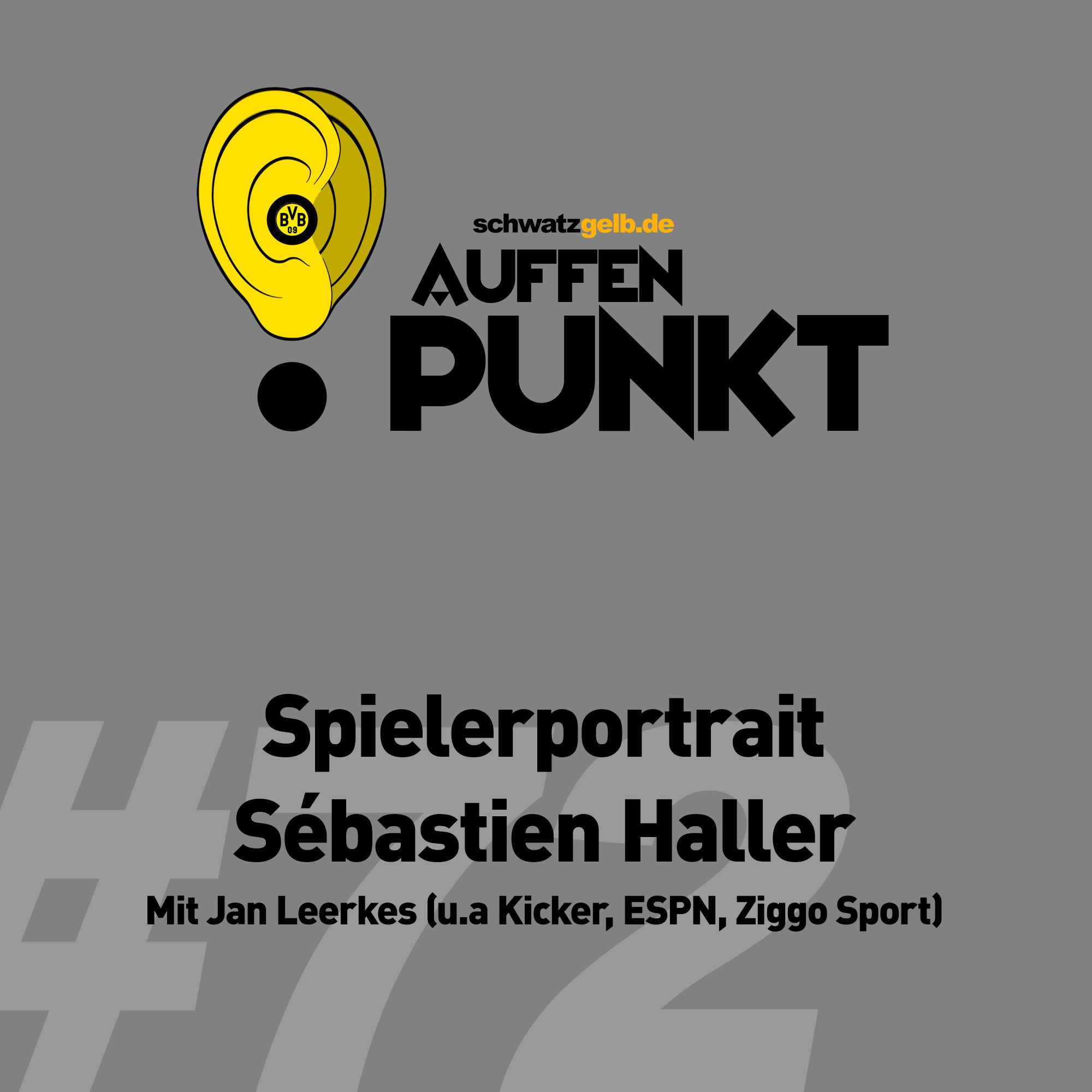 Auffen Punkt #72: Spielerportrait Sébastien Haller
