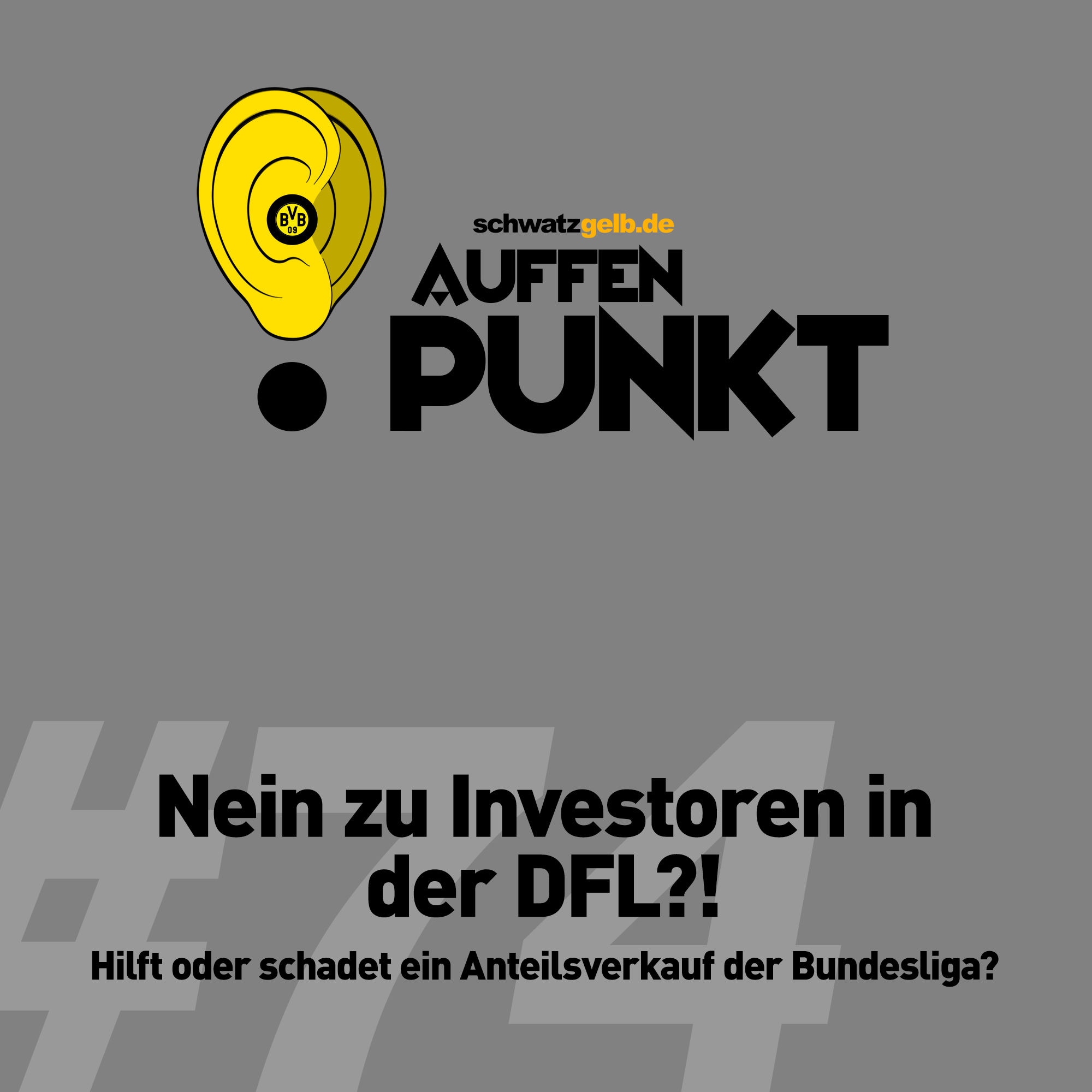 Auffen Punkt #74: Nein zu Investoren in der DFL?!