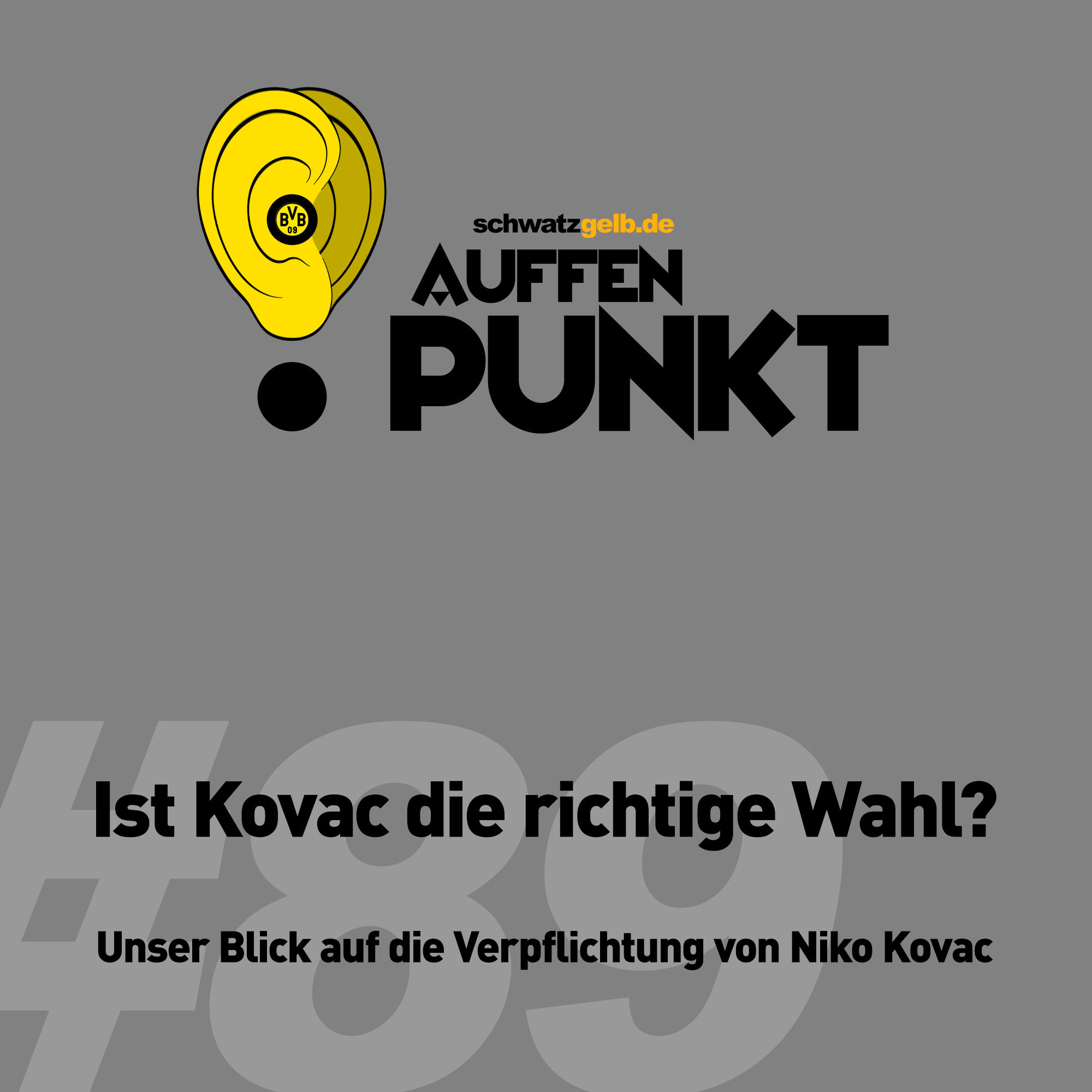 Auffen Punkt #89: Ist Kovac die richtige Wahl?