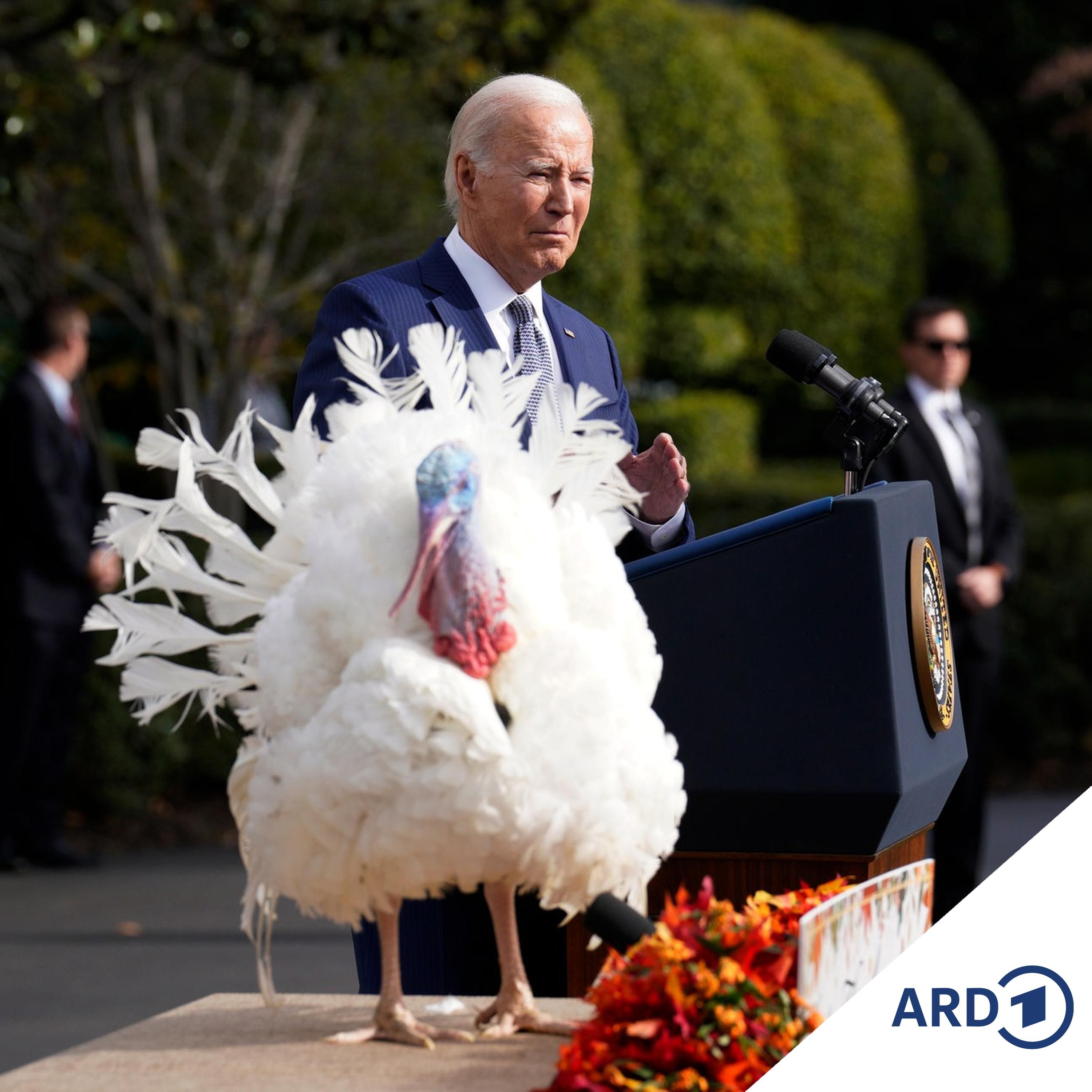 Aufräumen nach Thanksgiving