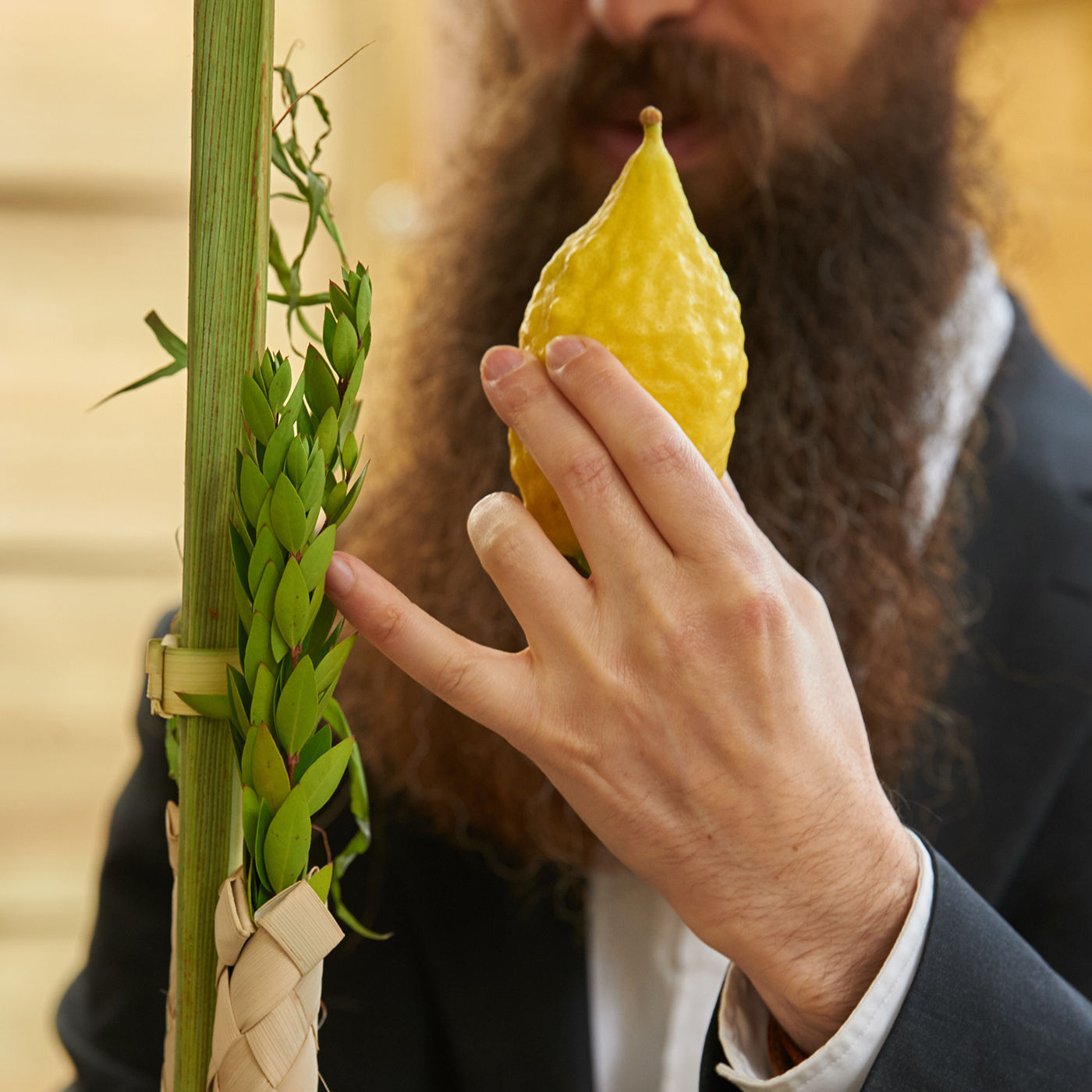 Aus der Gefangenschaft ins gelobte Land - Die spirituelle Kraft der Laubhütte