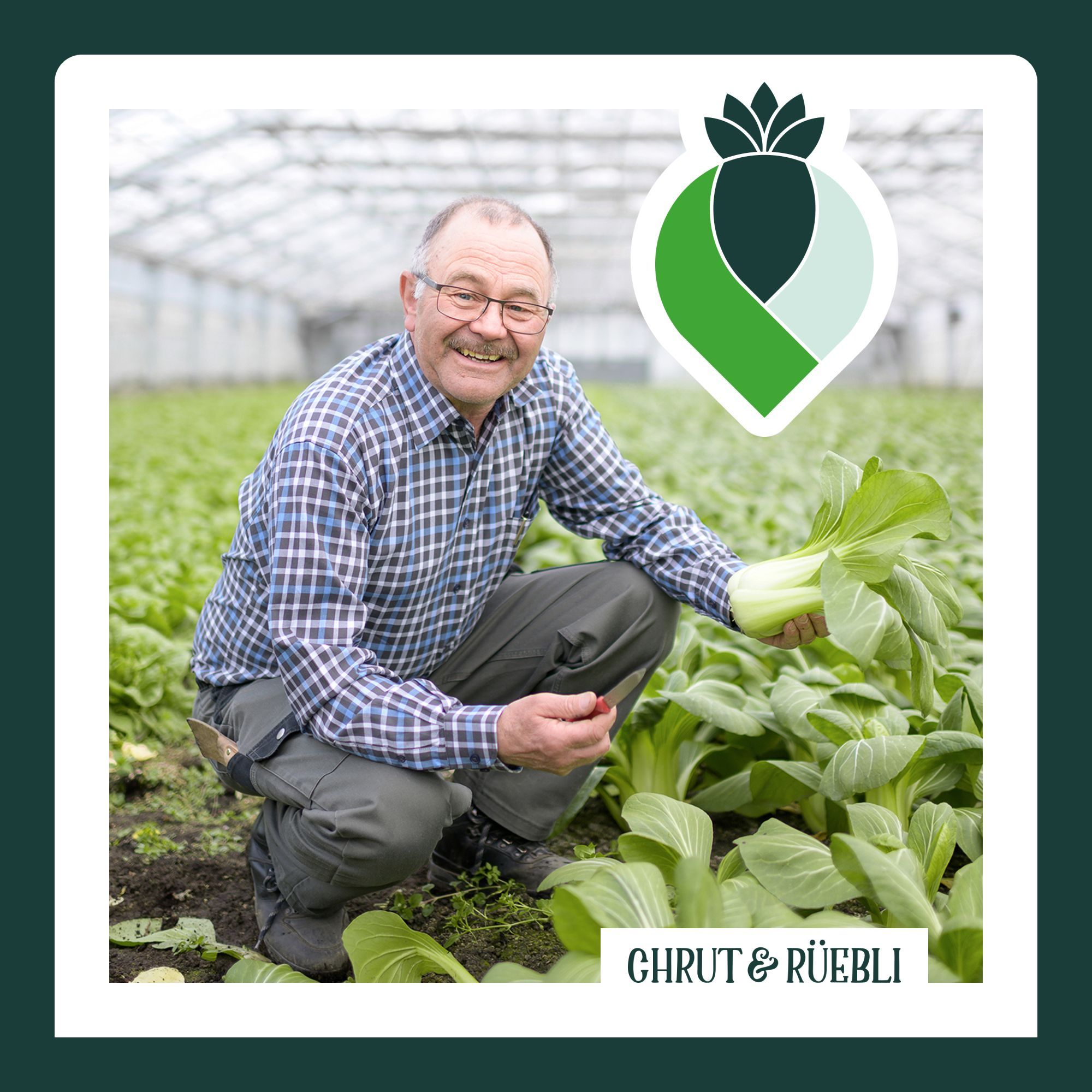 Aus der Region - für die Umwelt?