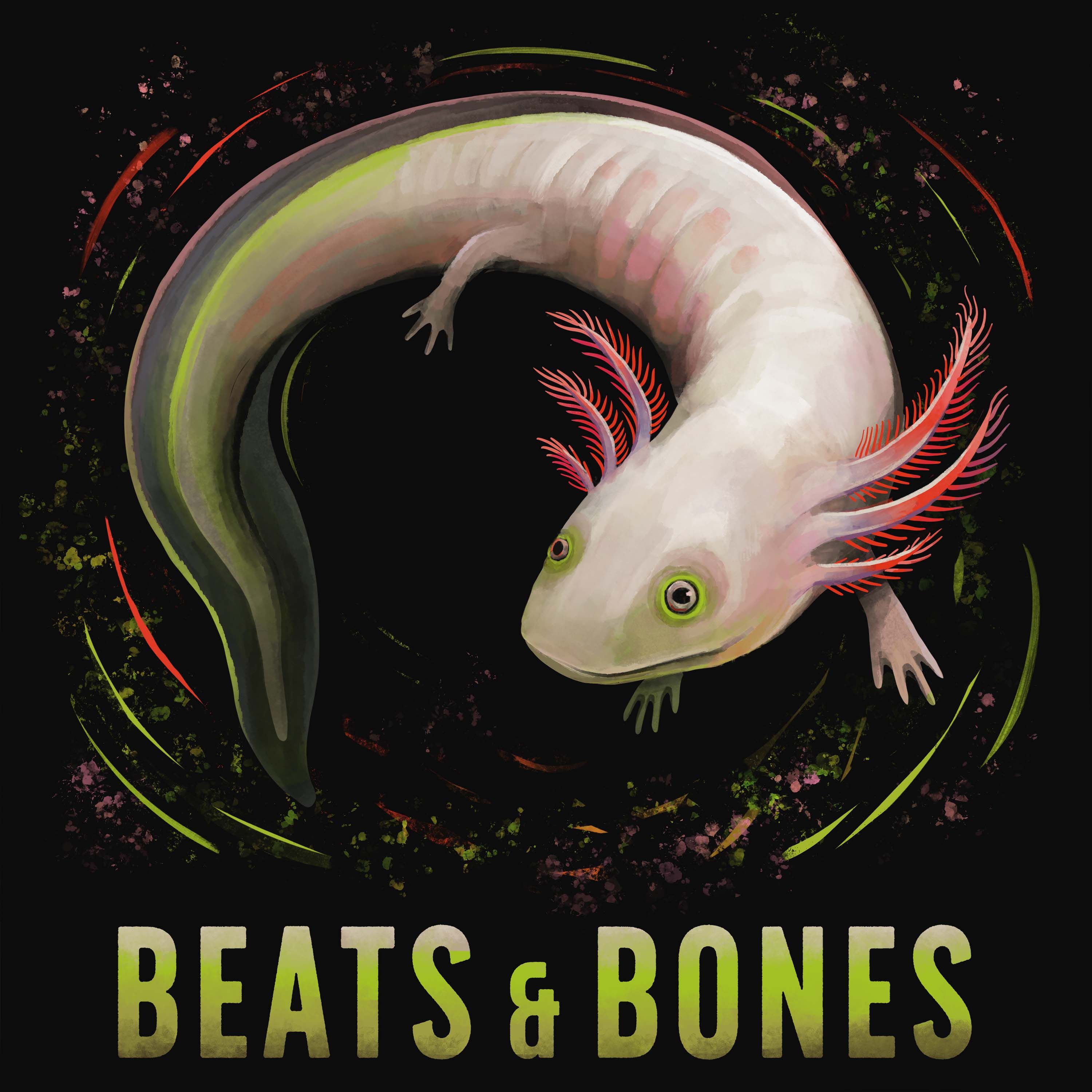 Axolotl: Salamander mit den Superskills