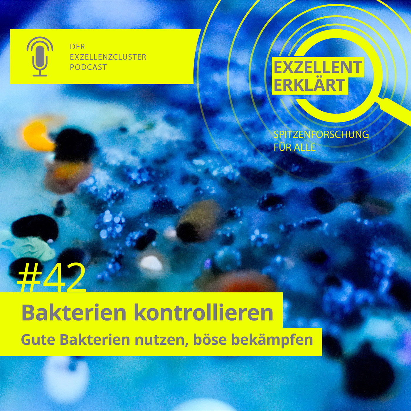 Bakterien kontrollieren - Gute Bakterien nutzen, böse bekämpfen