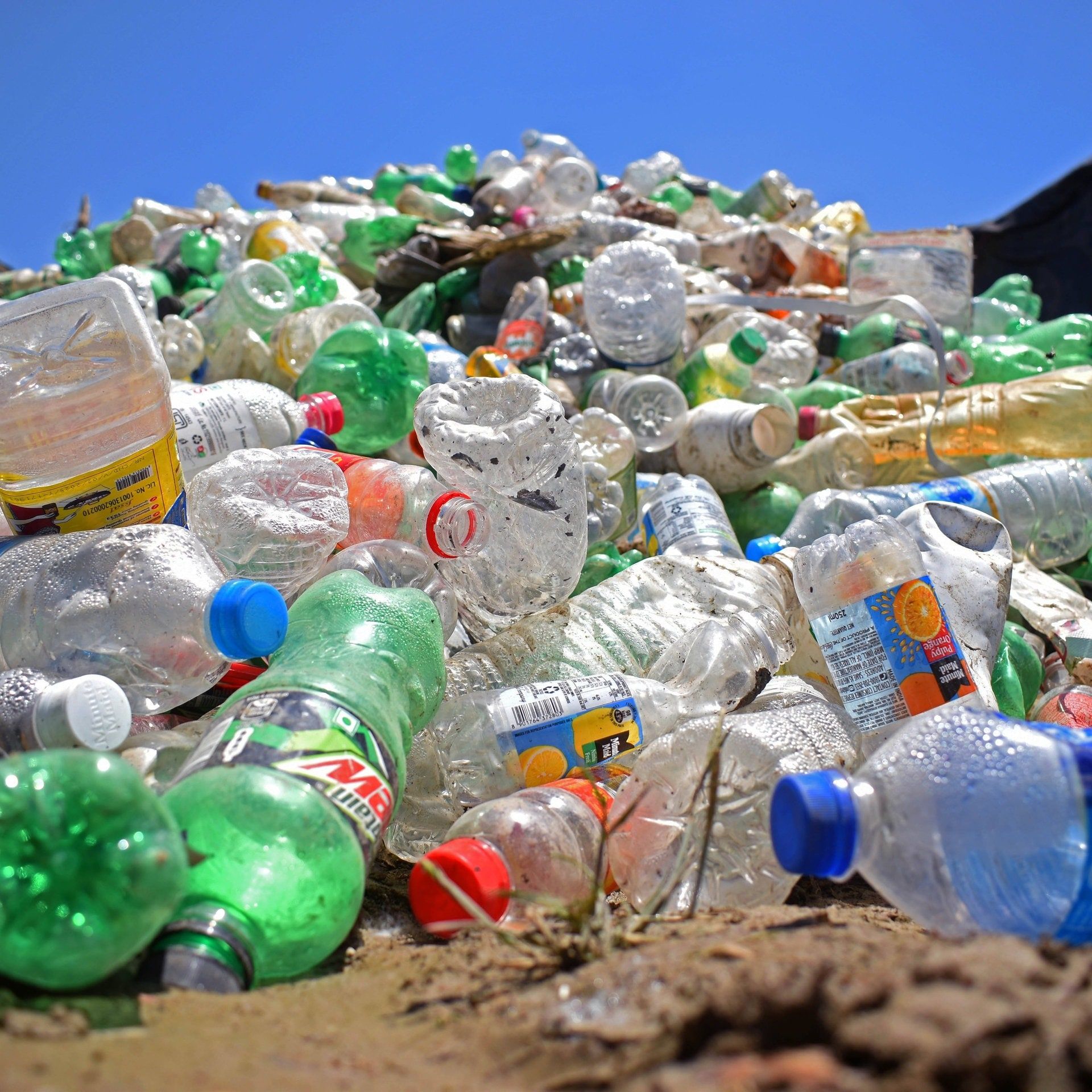 „Bakterien verwandeln Plastikmüll in Schmerzmittel“ Was ist dran an der Schlagzeile?
