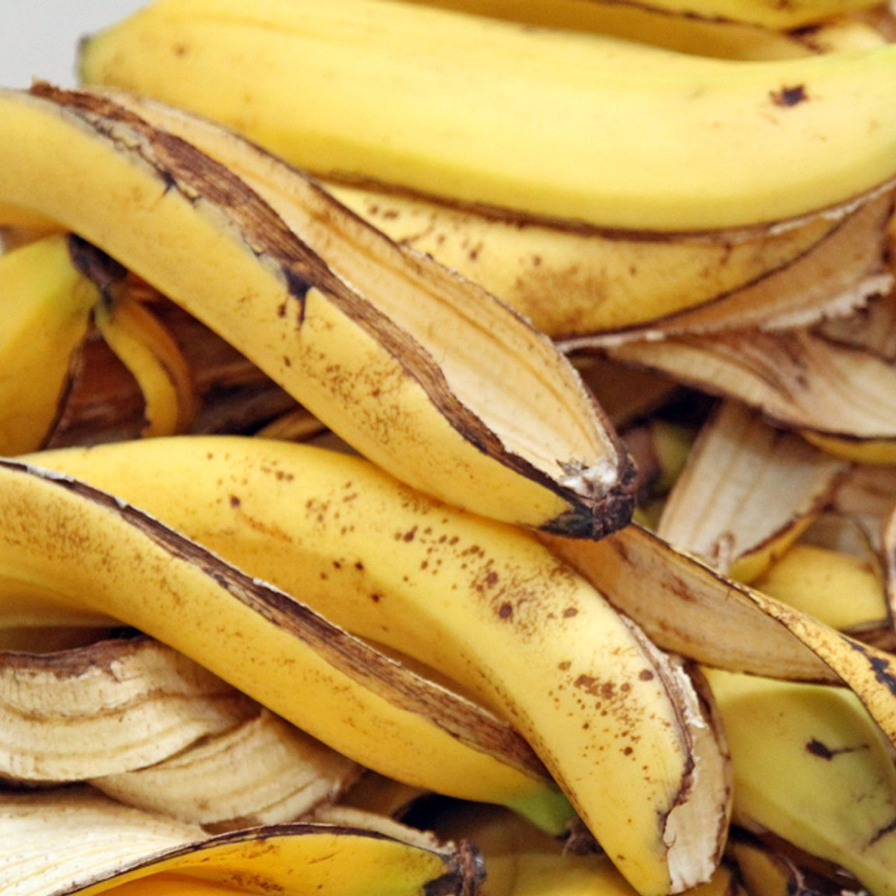 BANANNNNAAAA-gelbes Powerbündel