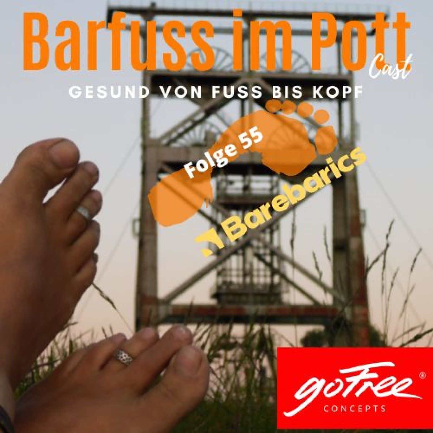 Barebarics