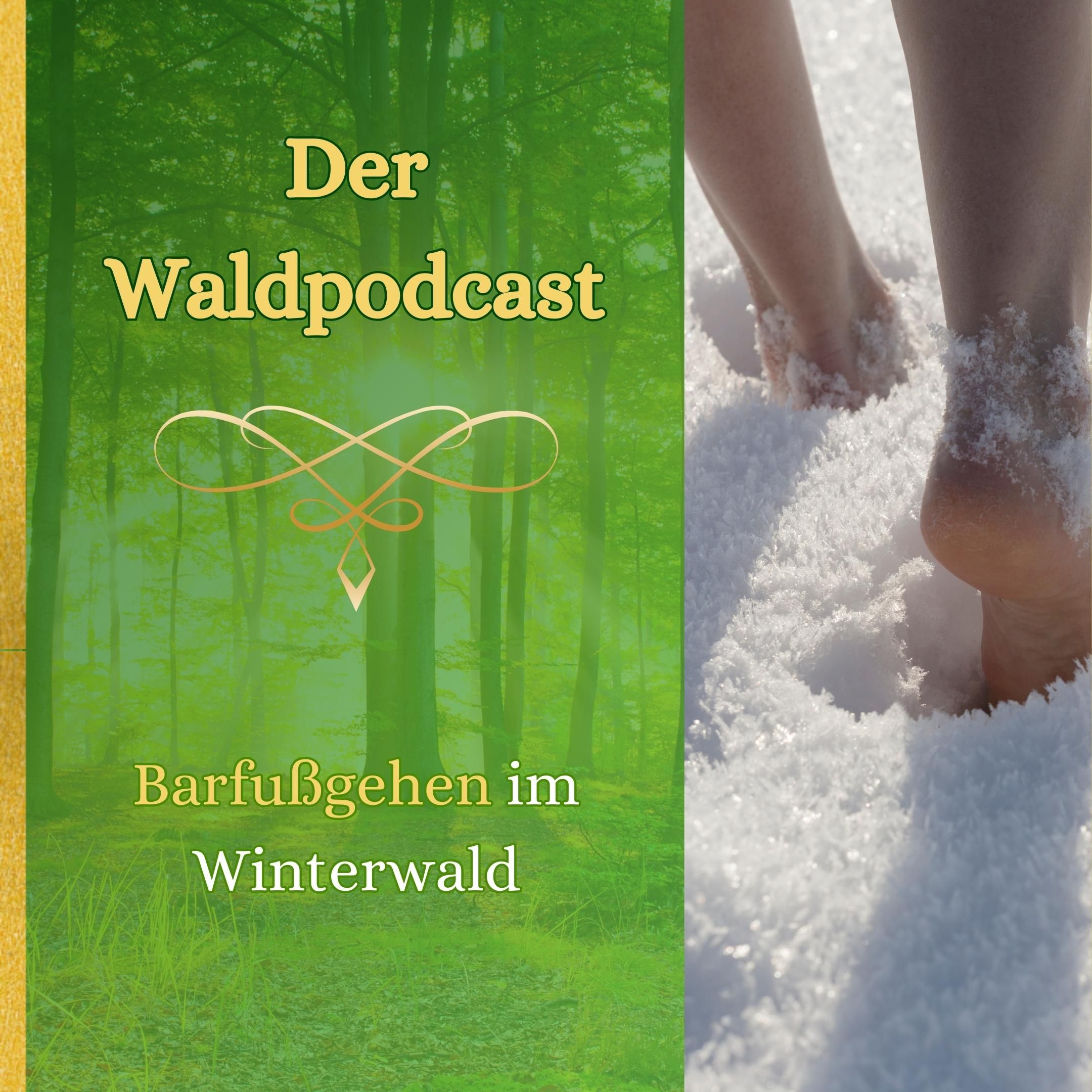 Barfußgehen im Winterwald