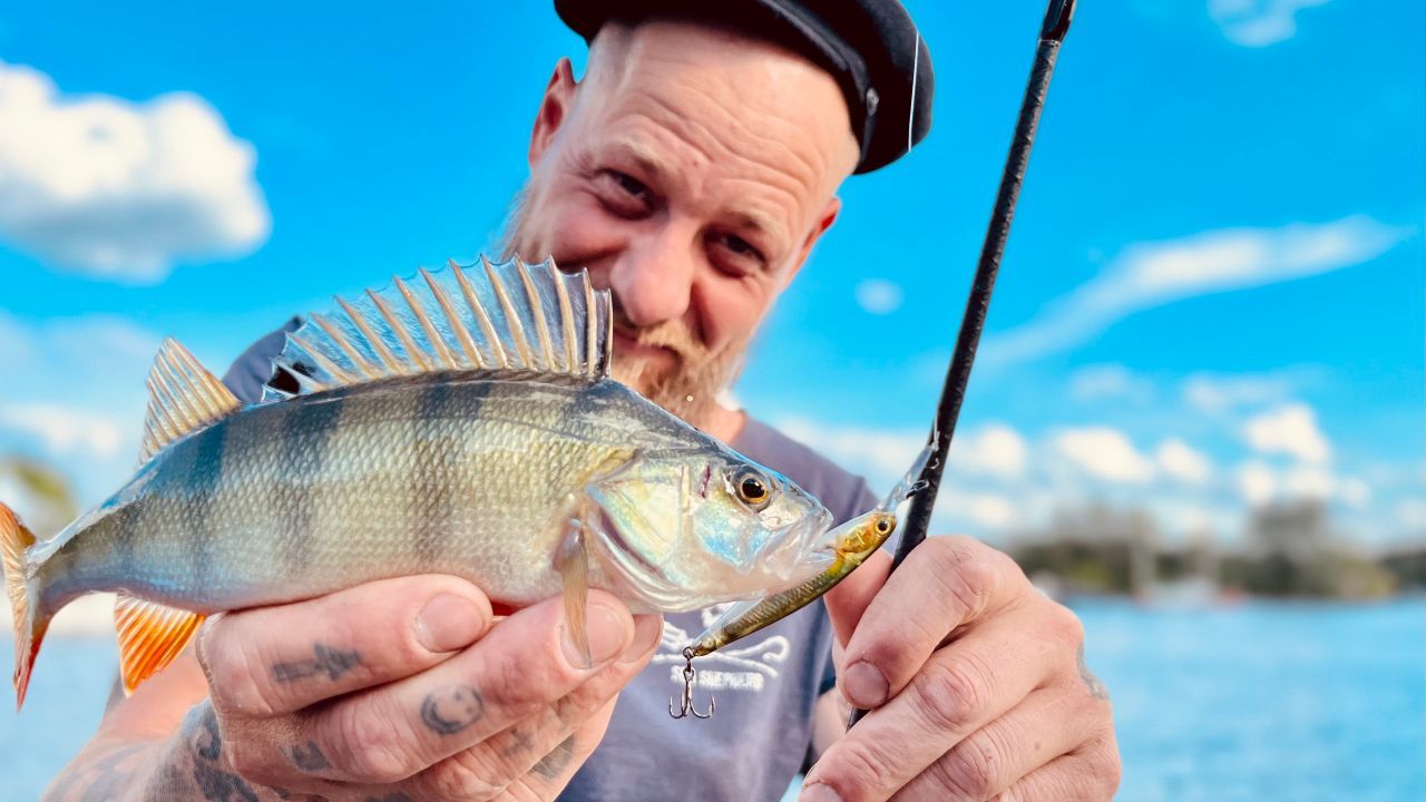 Barsche haben Bock - Alle Methoden funktionieren | #99