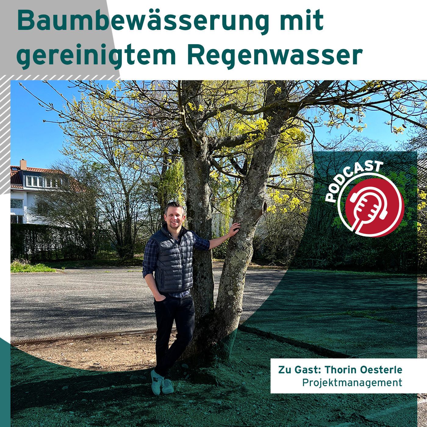 Baumbewässerung mit gereinigtem Regenwasser - Lösungen und wichtige Hinweise für Ihre Planung